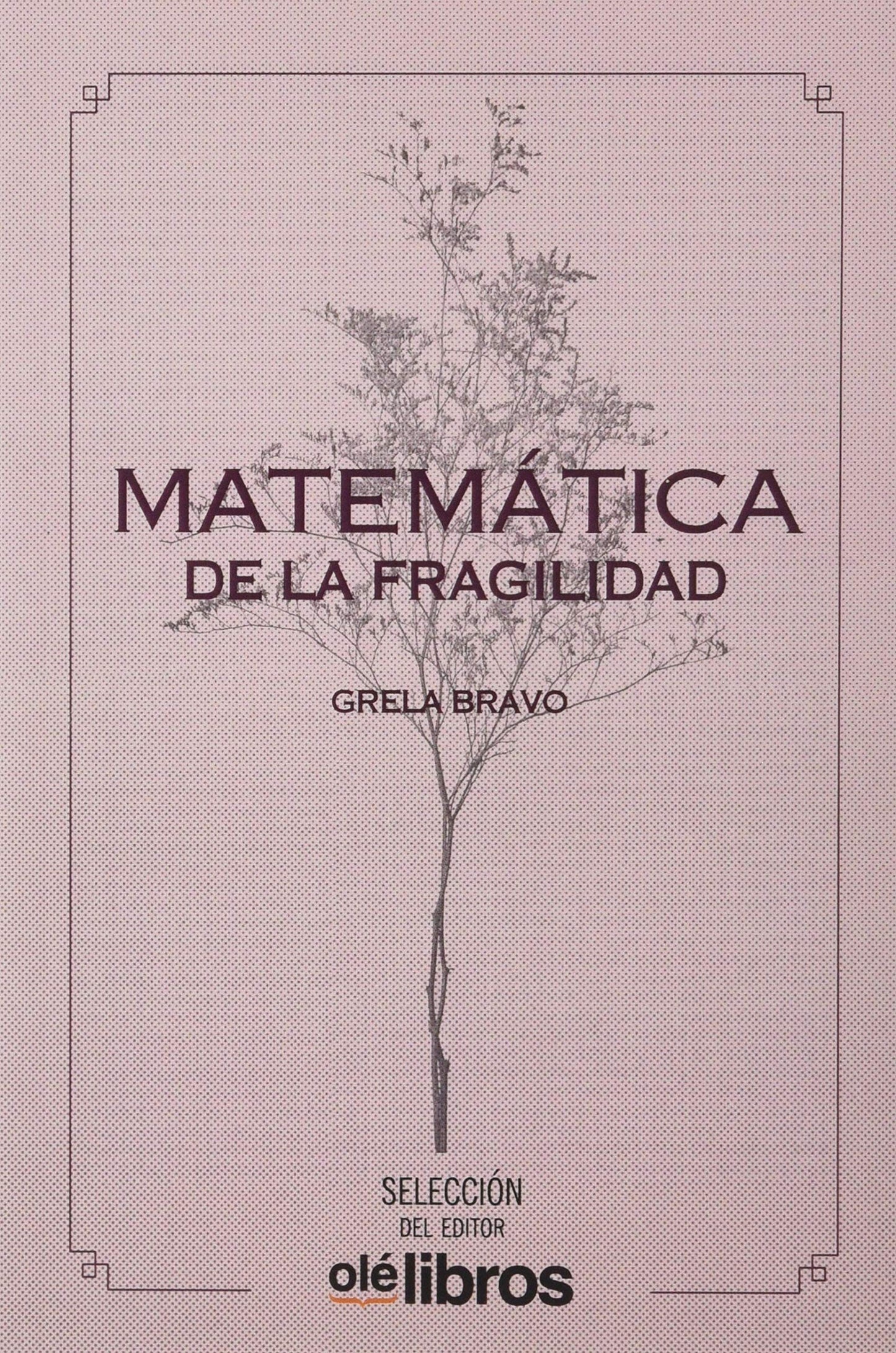 Libro: Matemática de la fragilidad