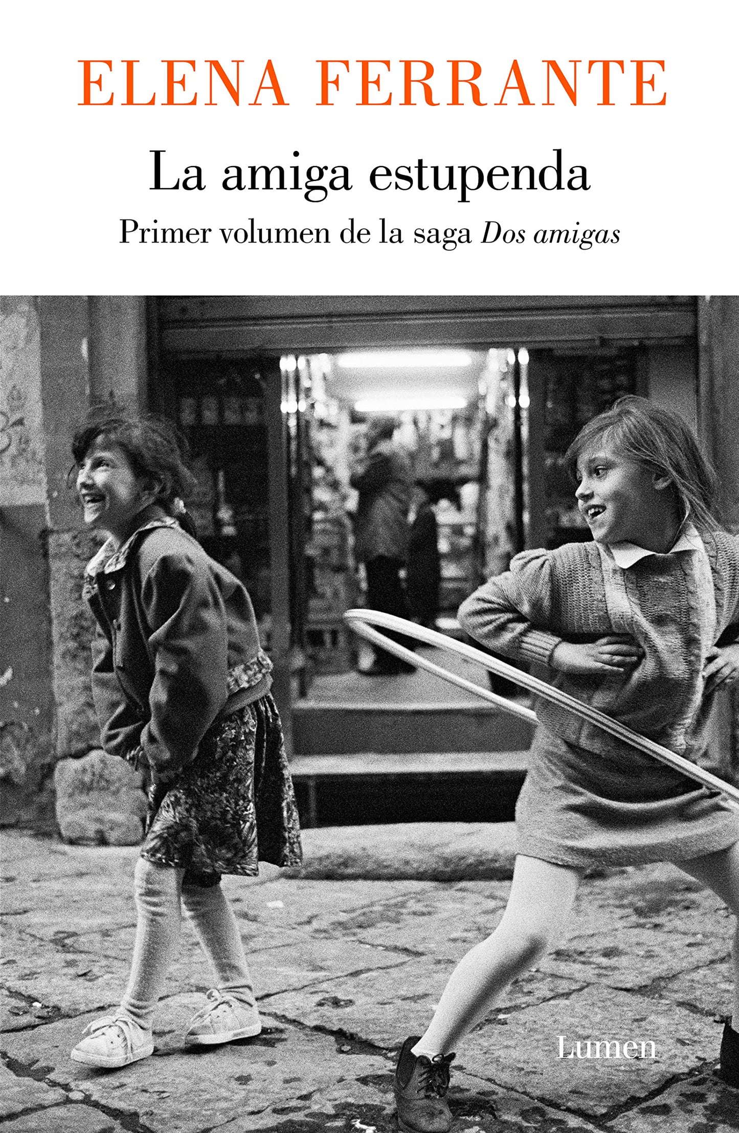 Libro: La amiga estupenda