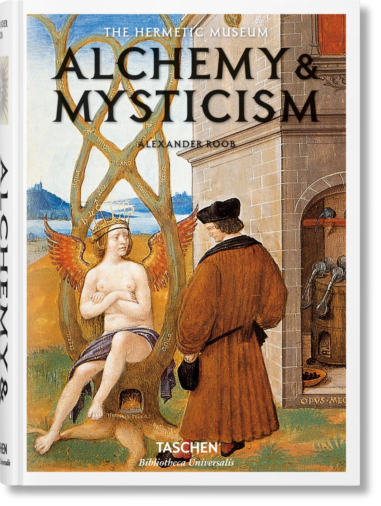 Libro: Alchemy & Mysticism: Bu (Bibliotheca Universalis)