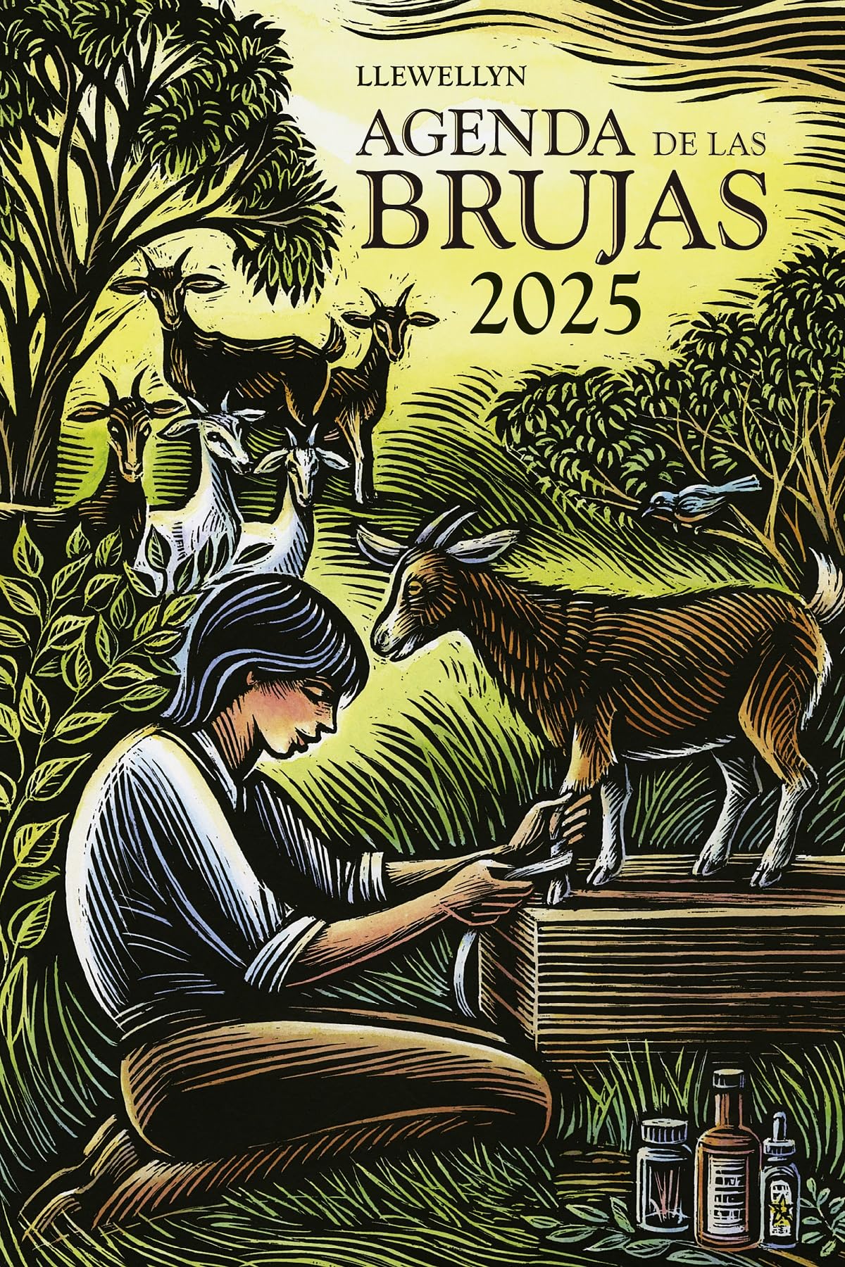 Libro: AGENDA DE LAS BRUJAS 2025 (LLEWELLYN) (AGENDAS Y CALENDARIOS)