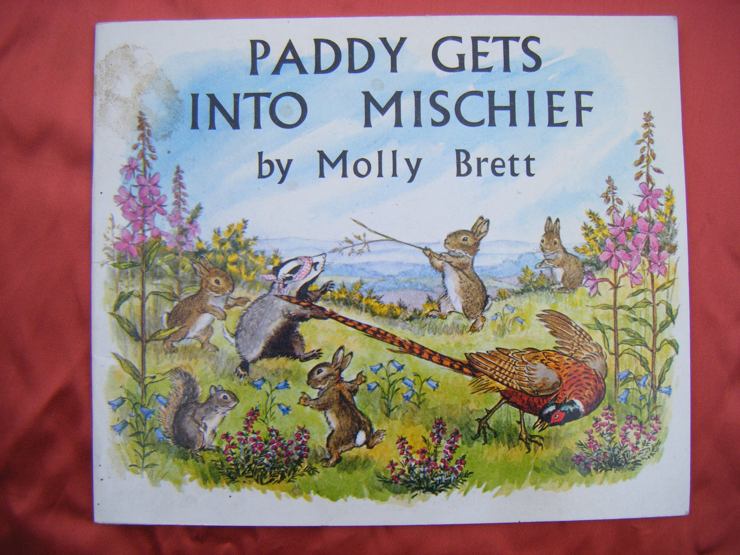 Libro: Paddy Gets Into Mischief