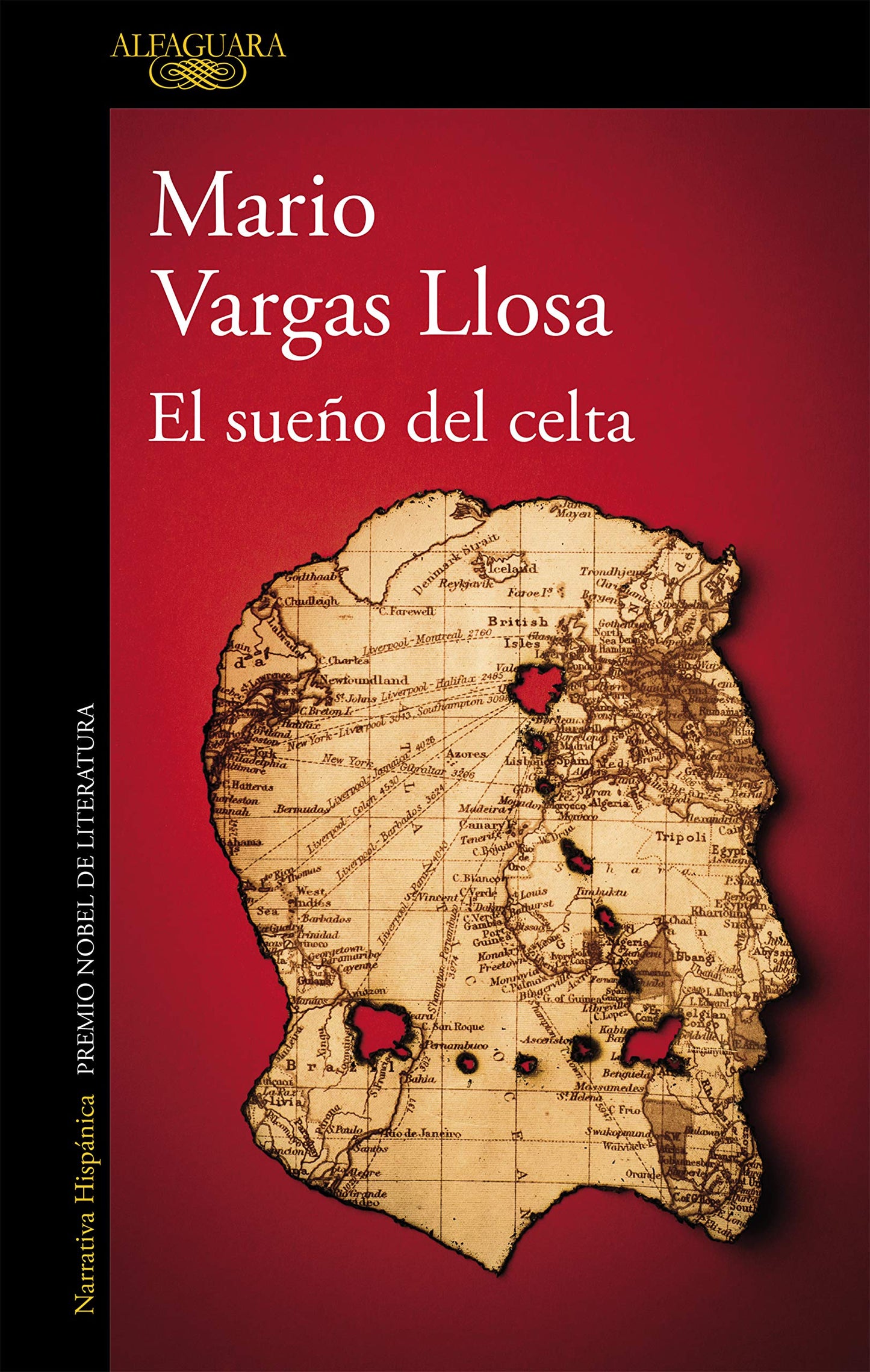 Libro: El sueño del celta
