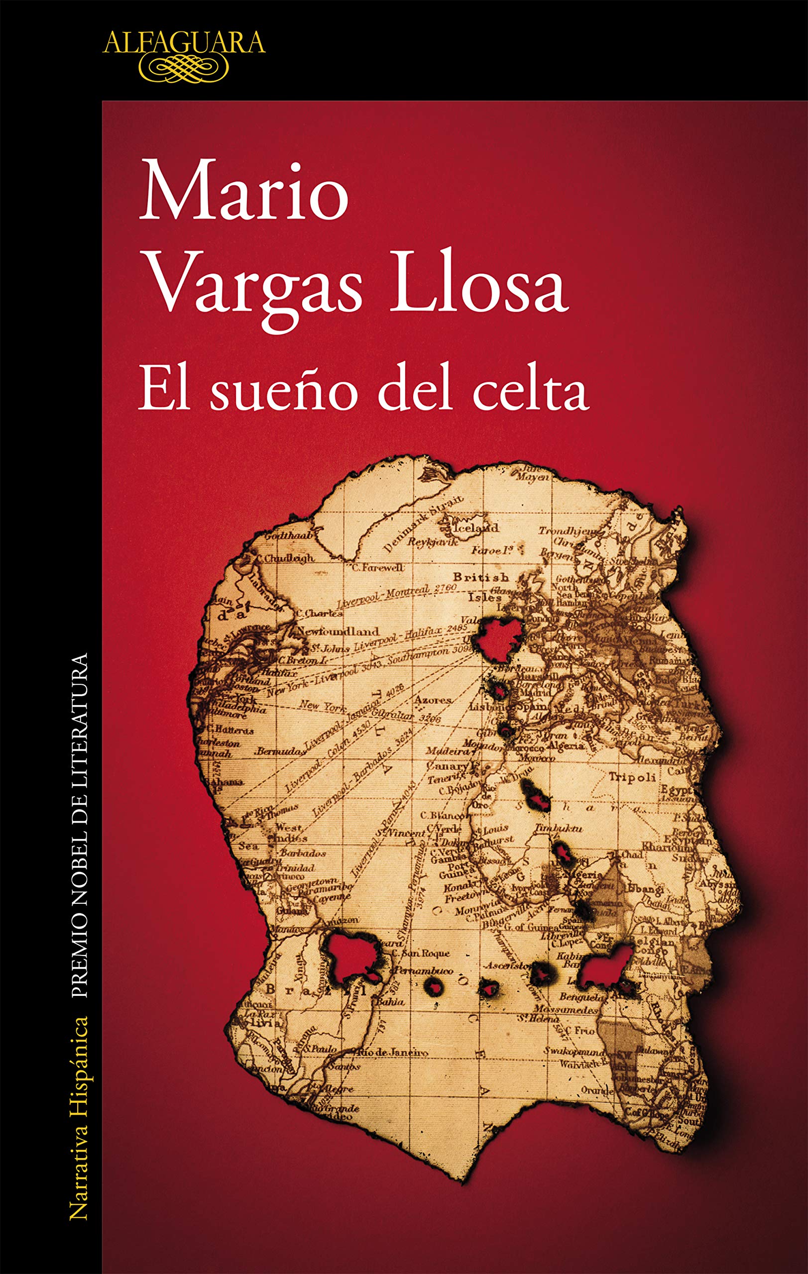 Libro: El sueño del celta