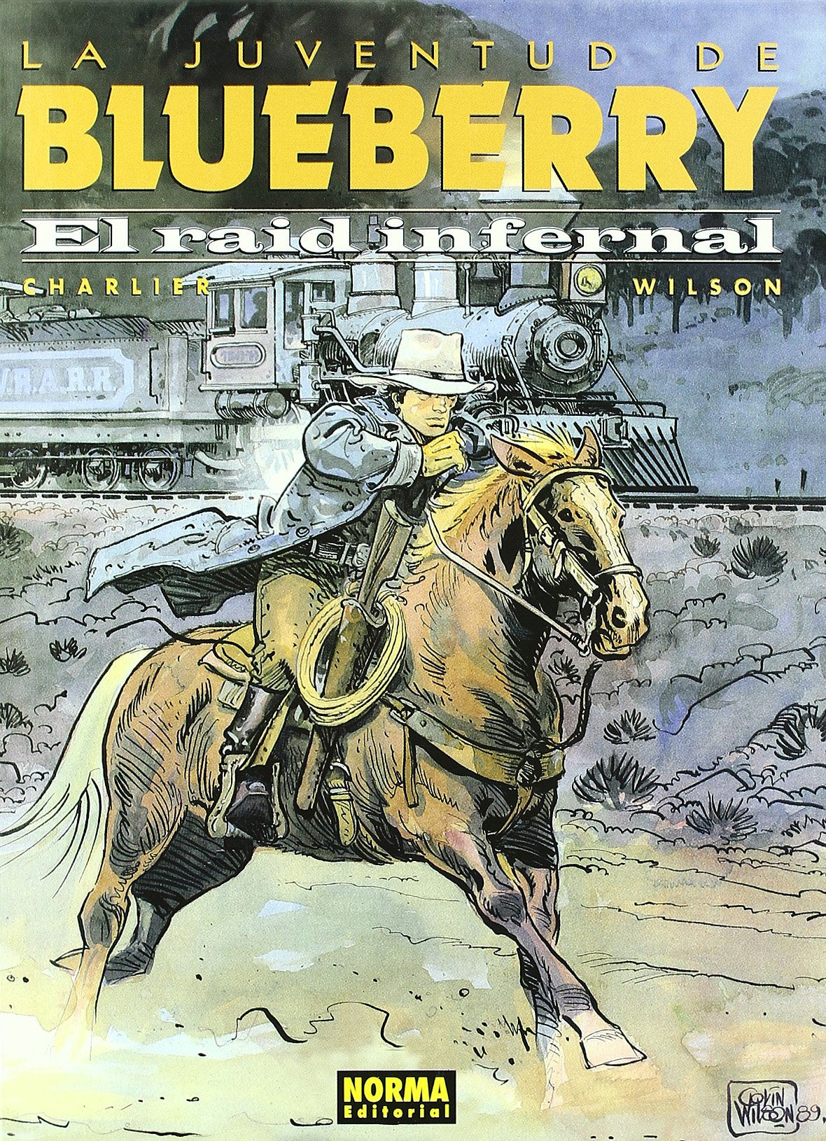 Libro: BLUEBERRY 28. EL RAID INFERNAL