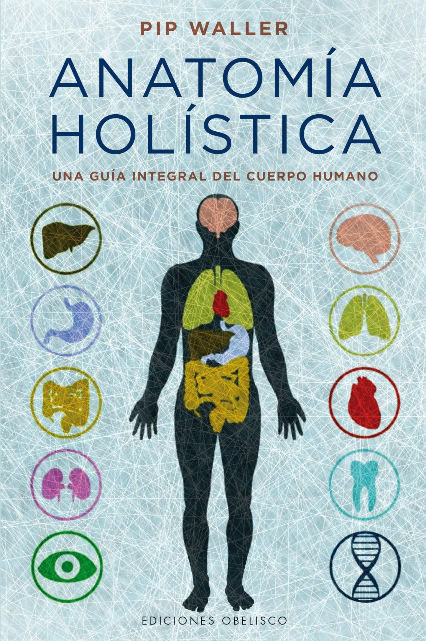 Libro: Anatomía holística: Una Guia Integral Del Cuerpo Humano (SALUD Y VIDA NATURAL)