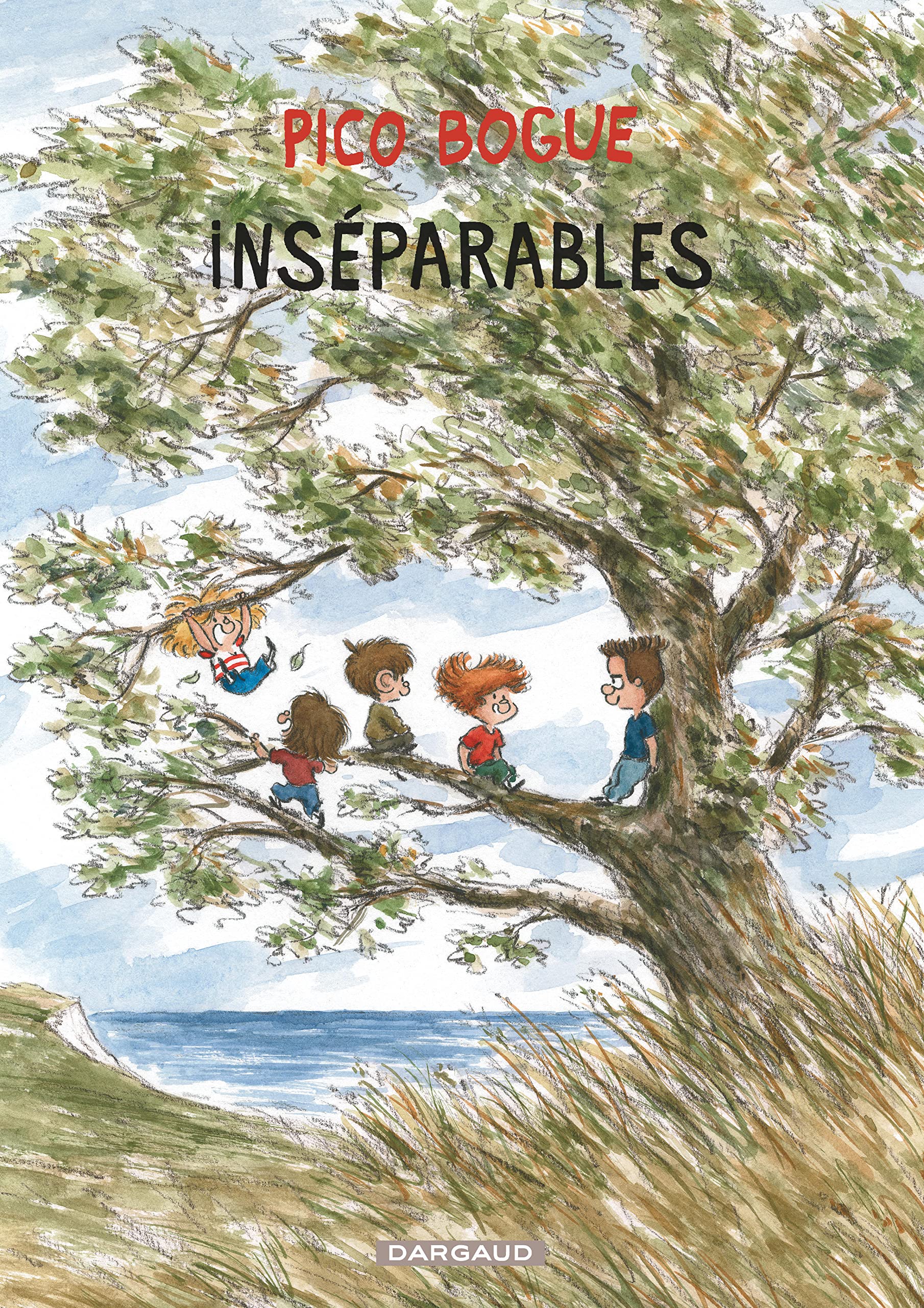 Libro: Pico Bogue - Tome 12 - Inséparables