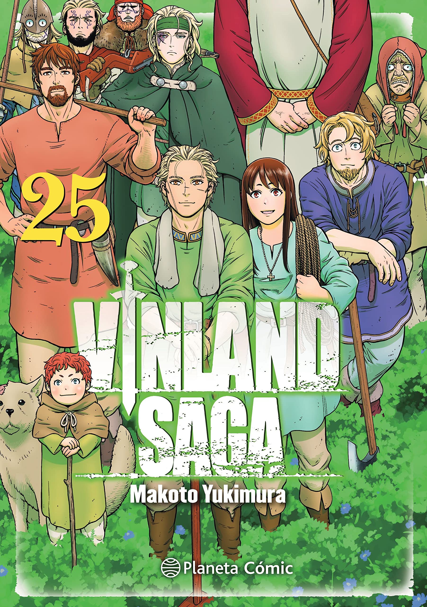 Libro: Vinland Saga nº 25 (Manga Seinen)