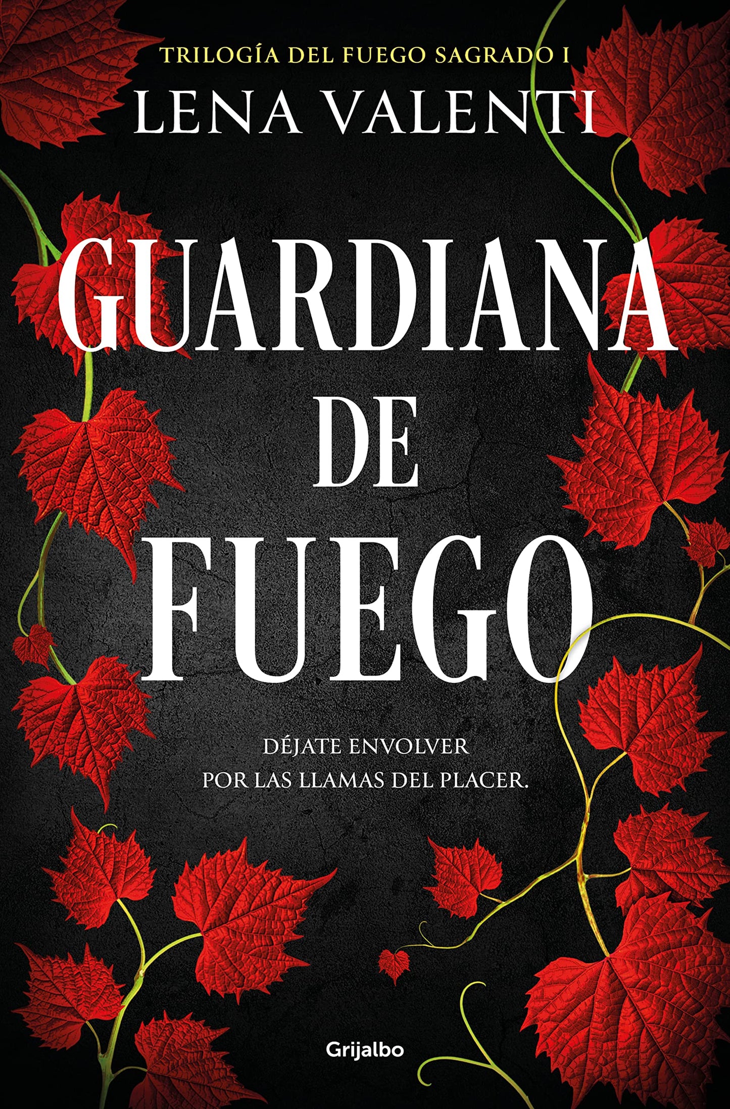 Libro: Guardiana de fuego / The Guardian of Fire (TRILOGÍA DEL FUEGO SAGRADO) (Spanish Edition)