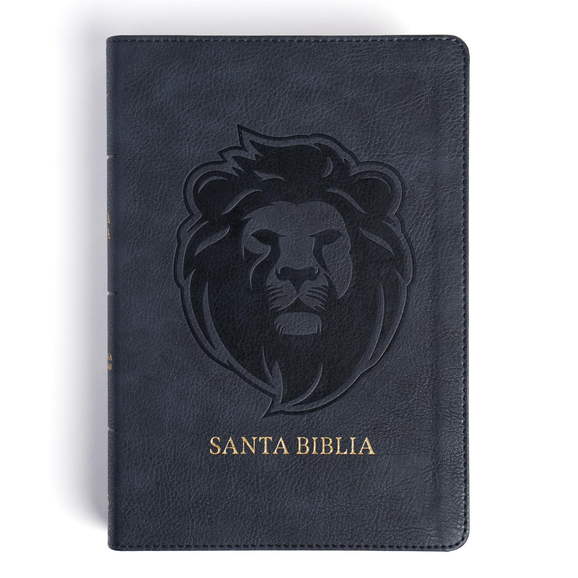 Libro: RVR 1960 Biblia letra grande tamaño manual edición especial, ceniza, símil piel (RVR 1960 Hand Size Giant Print, Ash, LeatherTouch Special Edition) (Spanish Edition)