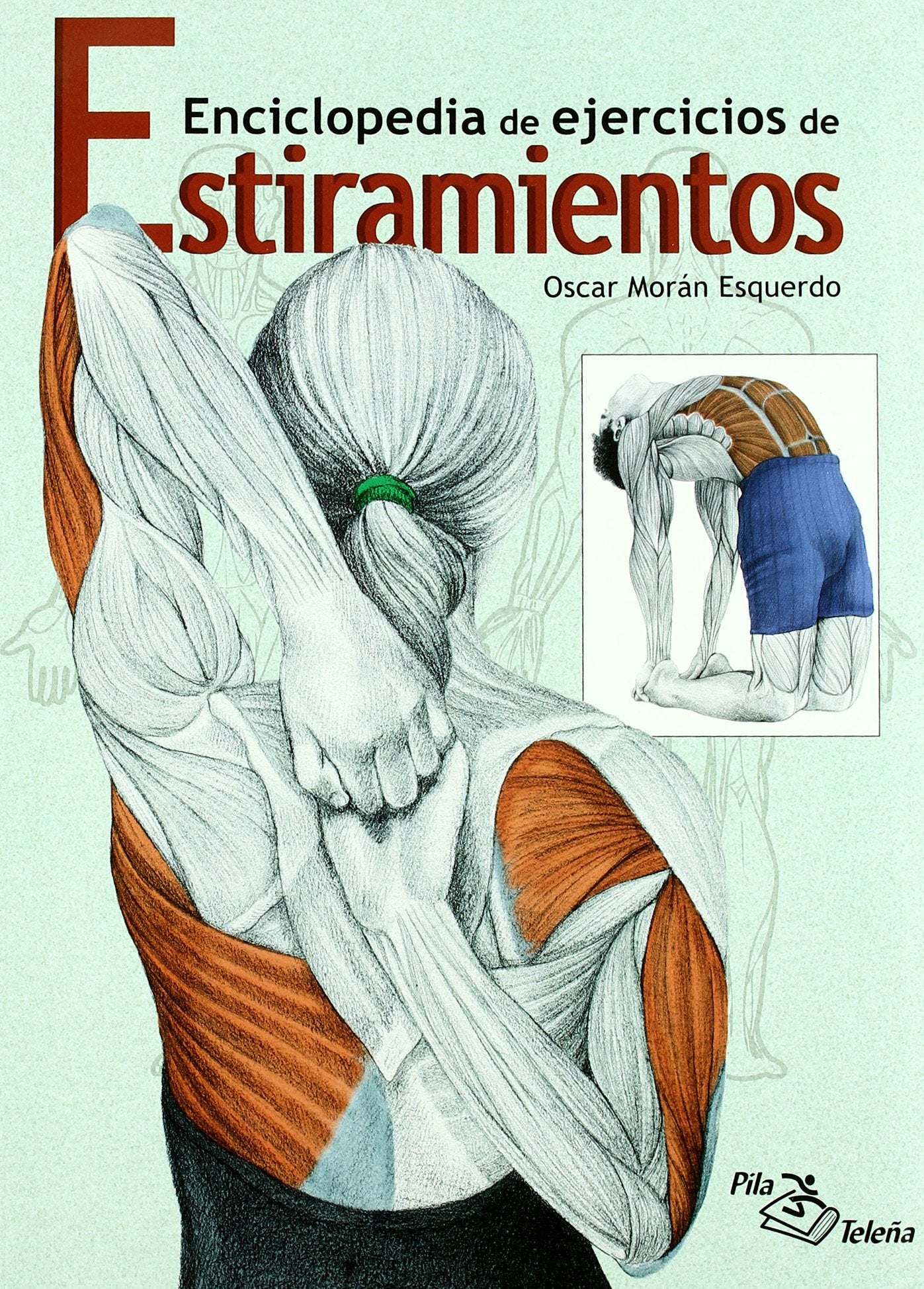 Libro: ESTIRAMIENTOS: Enciclopedia de ejercicios (DEPORTIVOS)