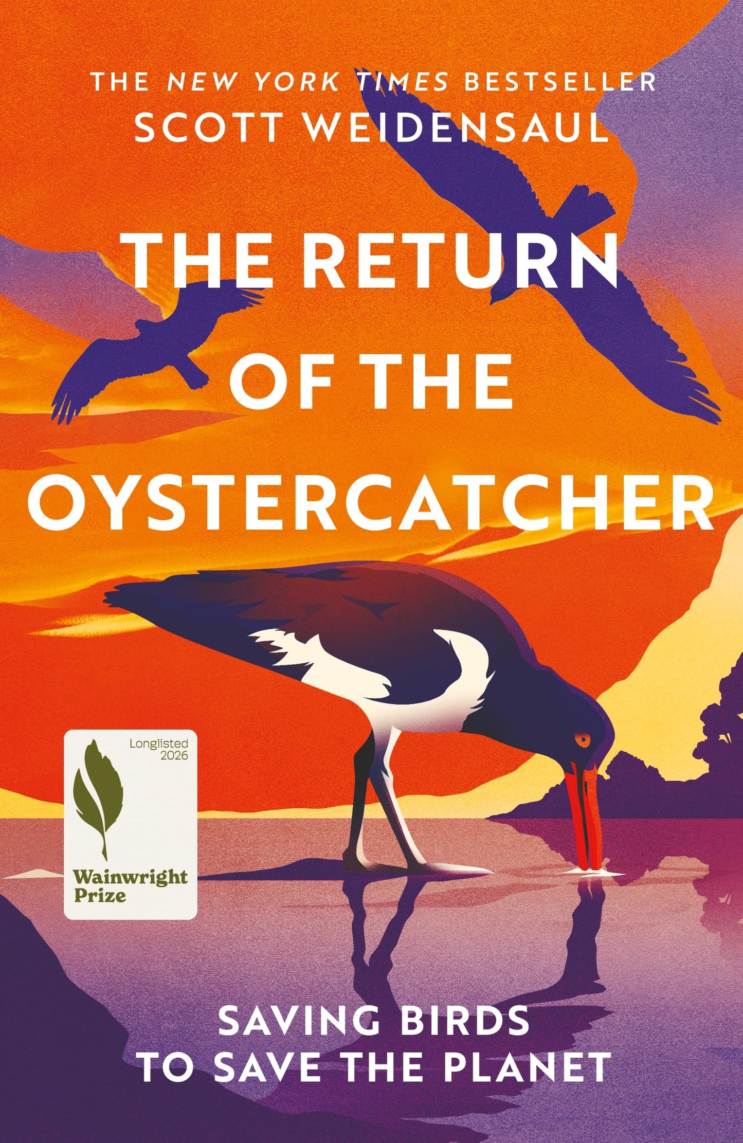 Libro: The Return of the Oystercatcher