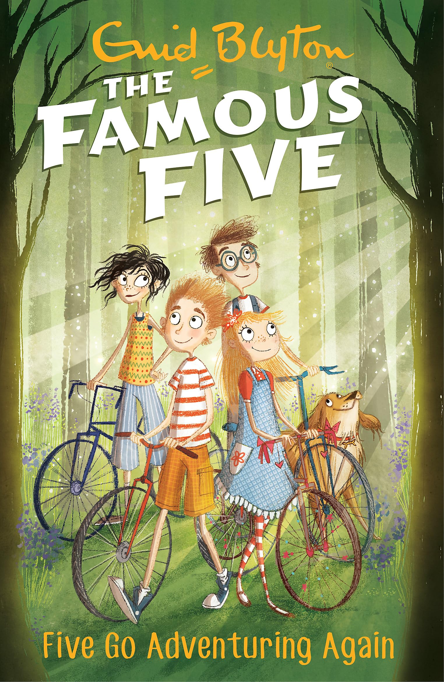 Libro: Famous Five Bk 2 Five Go Adventuri Again