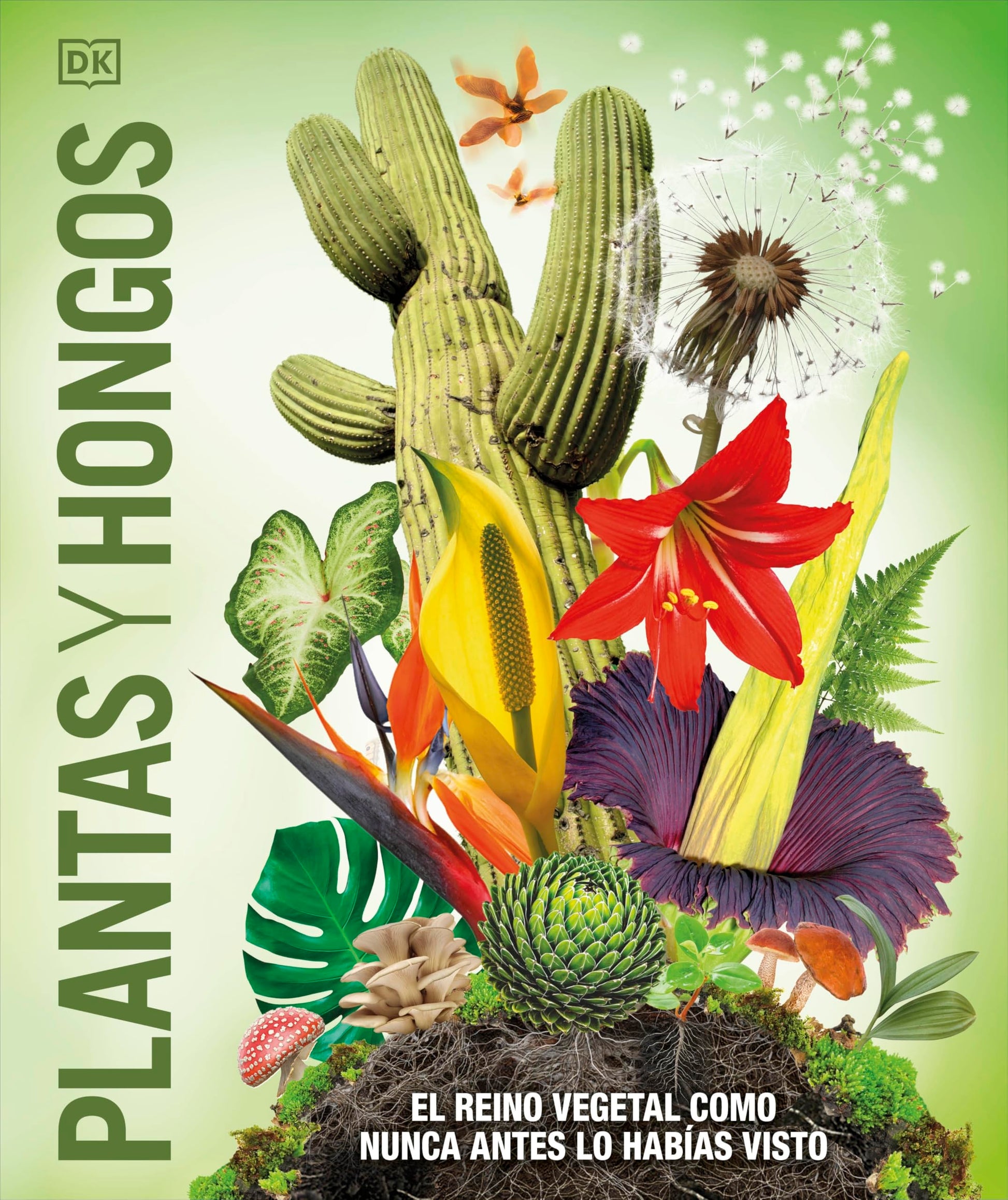 Libro: Plantas y hongos (Mundo 3D): El reino vegetal como nunca antes lo habías visto (Enciclopedia visual juvenil)