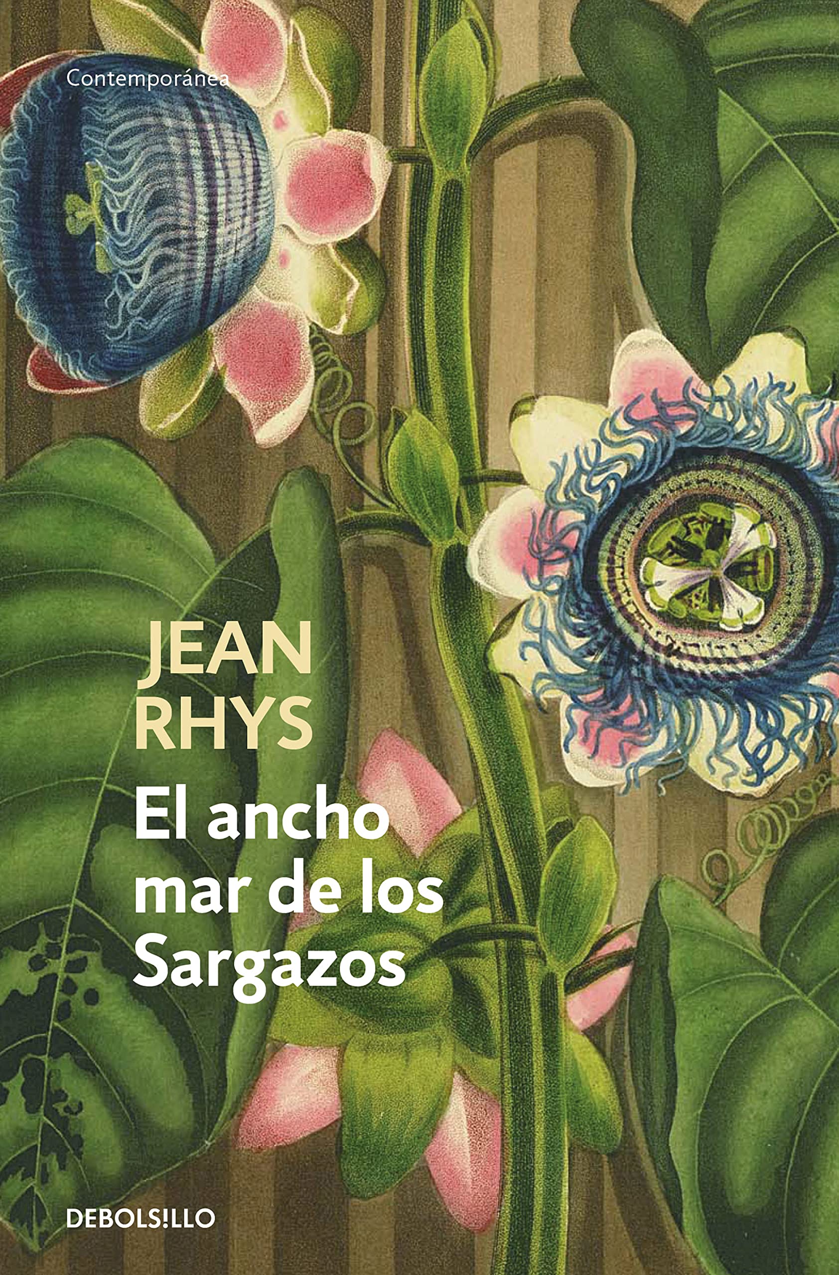 El ancho mar de los Sargazos (Contemporánea)