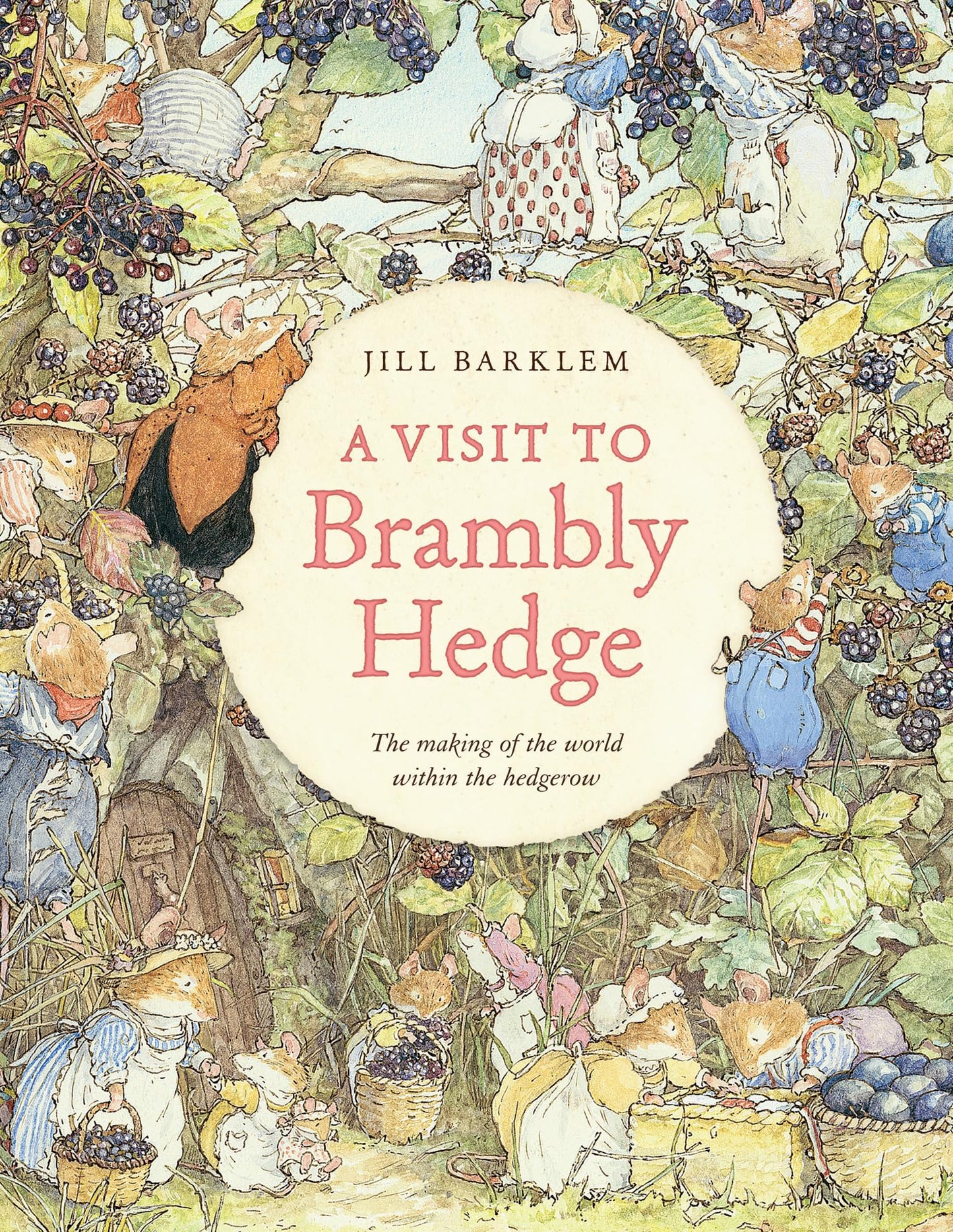 Libro: A Visit to Brambly Hedge: An illustrated companion to the world of Brambly Hedge, perfect for collectors and fans of Jill Barklem!