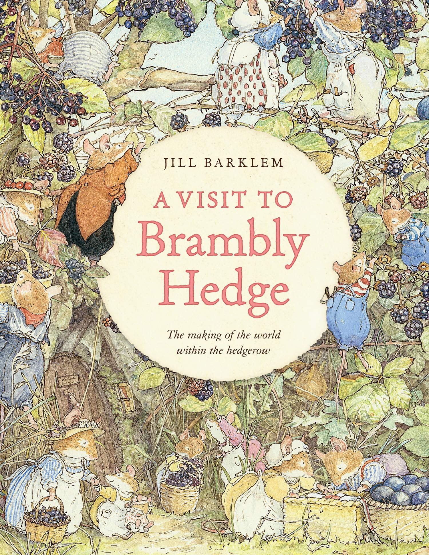 Libro: A Visit to Brambly Hedge: An illustrated companion to the world of Brambly Hedge, perfect for collectors and fans of Jill Barklem!