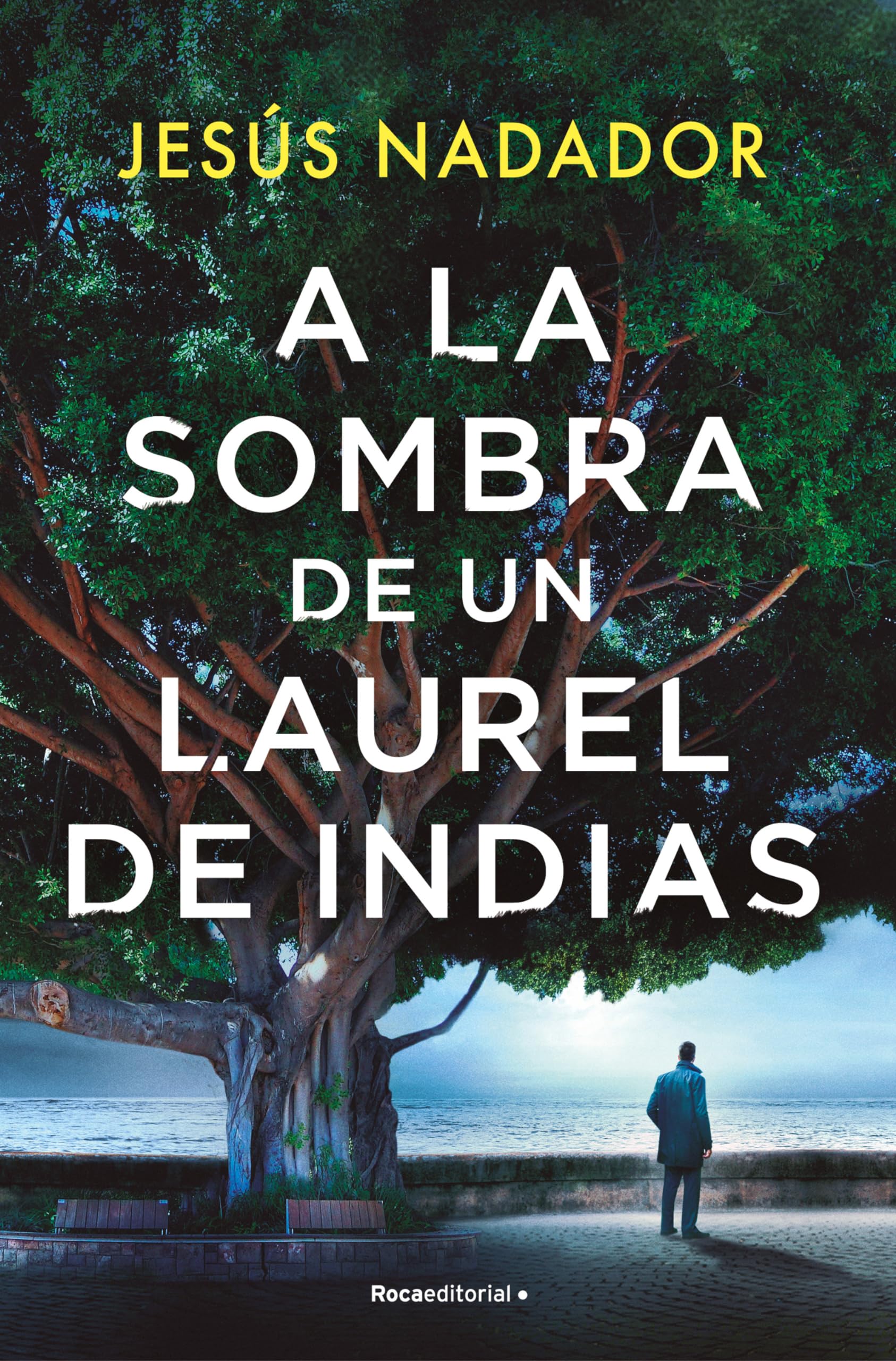 Libro: A la sombra de un laurel de Indias