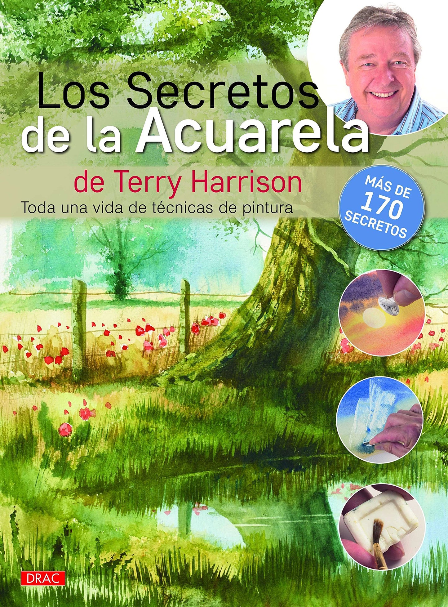Libro: Los secretos de la acuarela: Toda una vida de técnicas de pintura (BELLAS ARTES)