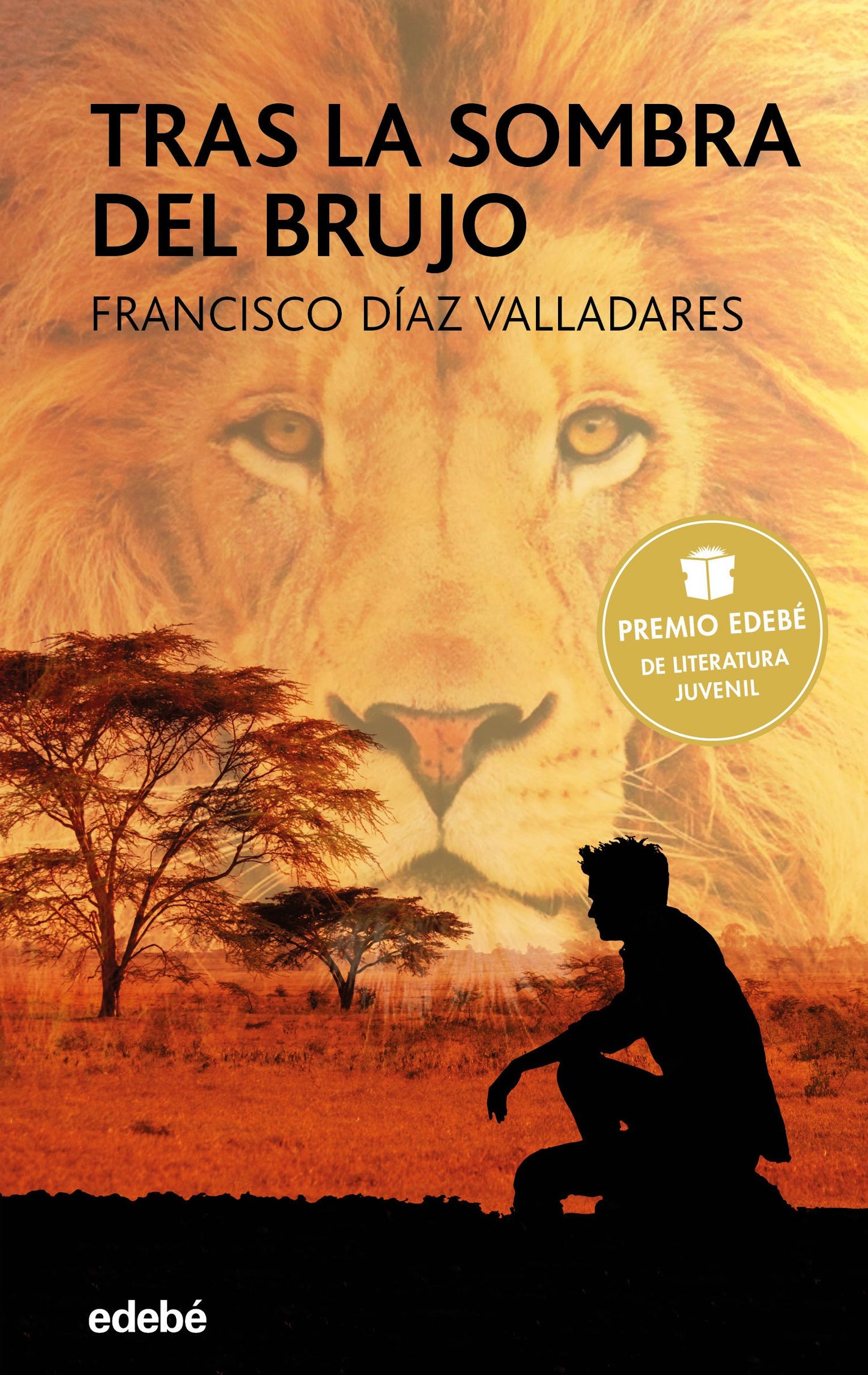 Libro: Tras la sombra del brujo. Premio edebé 2017: 80 (PERISCOPIO)