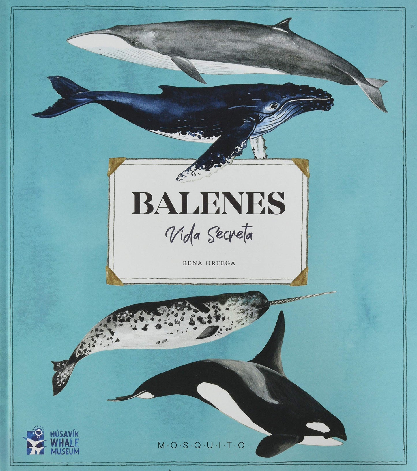 Libro: Balenes. Vida secreta