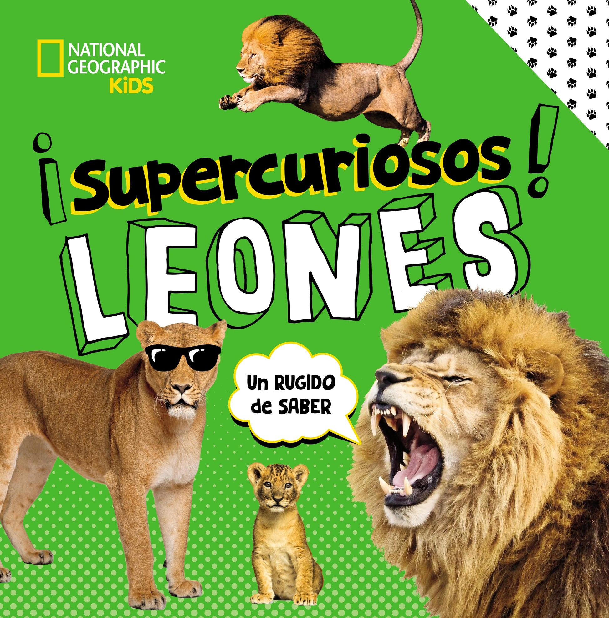 Libro: ¡SUPERCURIOSOS! Leones: Todo lo que tienes que saber (National Geographic Kids)