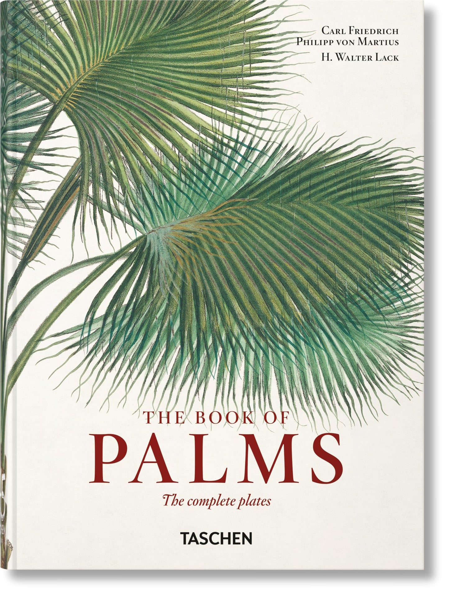 Libro: Martius. El libro de las palmeras. 45th Ed. (45th Edition)