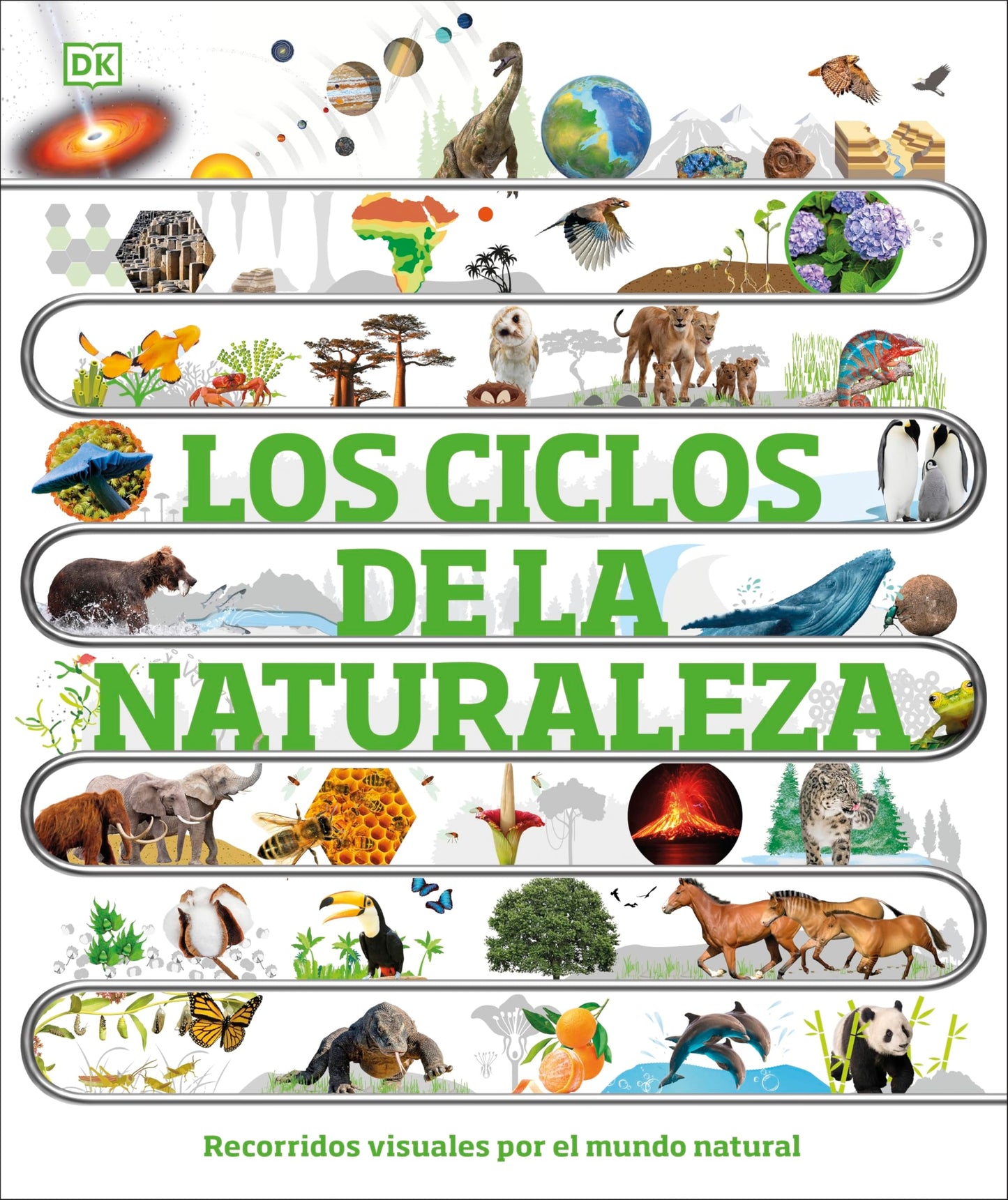 Libro: Los ciclos de la naturaleza: Recorridos visuales por el mundo natural (DK Infantil)