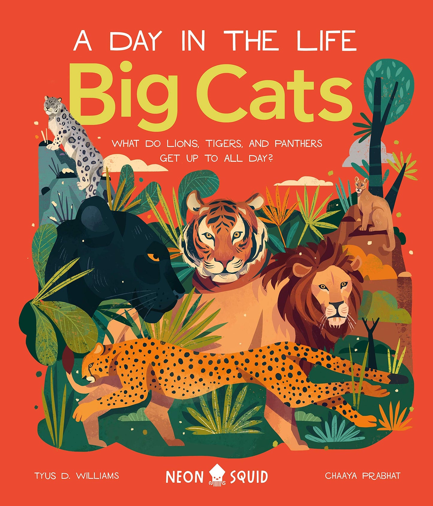 Libro: Big Cats (A Day in the Life): What Do Lions, Tigers and Panthers Get up to All Day?