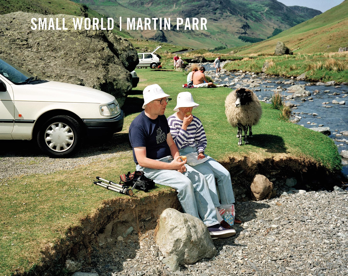 Libro: Small World