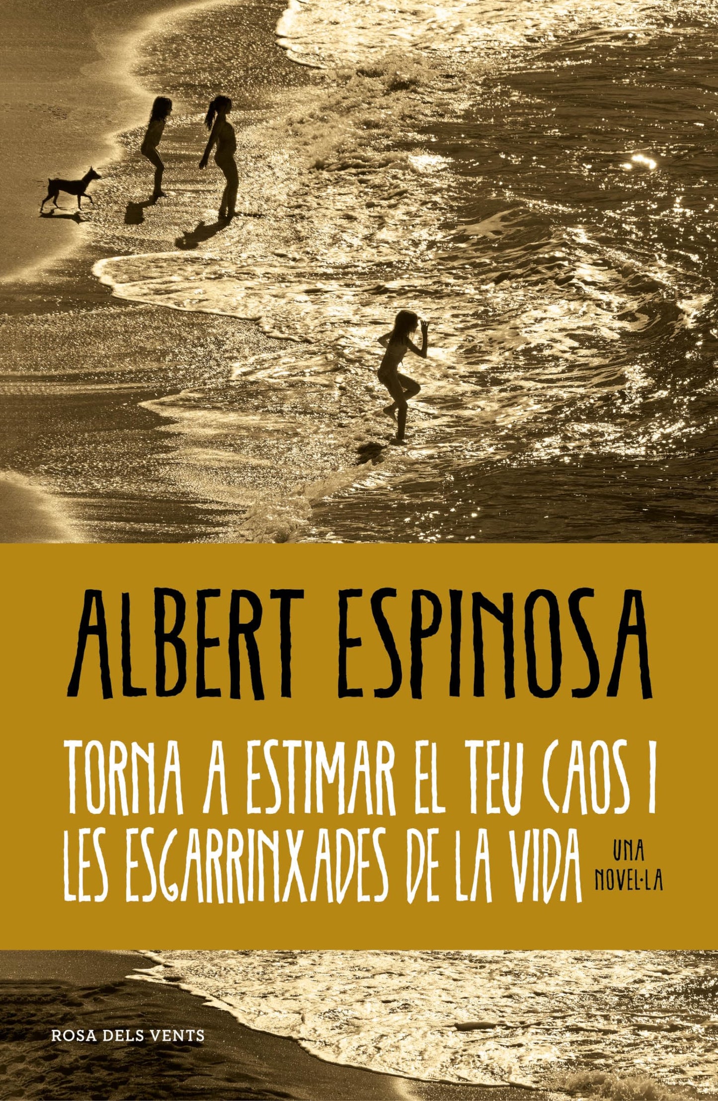 Libro: Torna a estimar el teu caos i les esgarrinxades de la vida