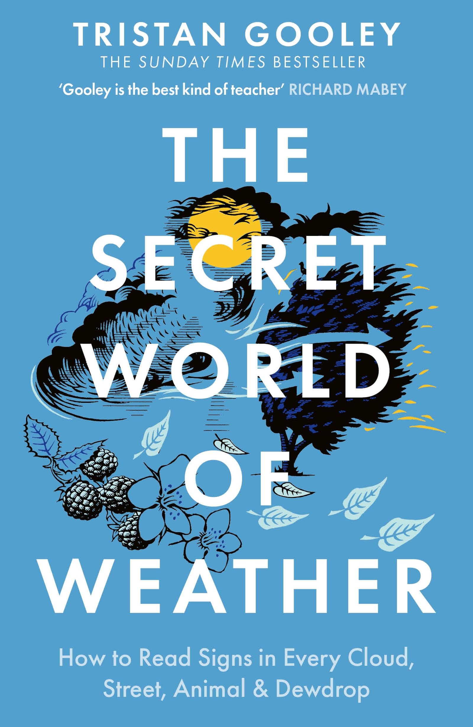 Libro: The Secret World of Weather: 'Makes you look at your environment in a different, more poetic way'