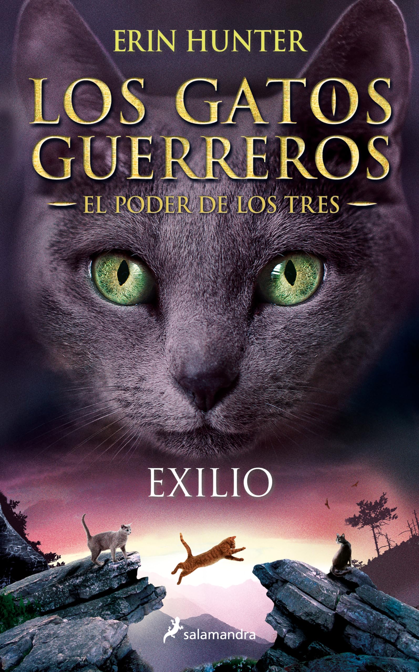 Libro: Exilio / Outcast: Los gatos guerreros - El poder de los tres III: 3 (Colección Salamandra Juvenil)