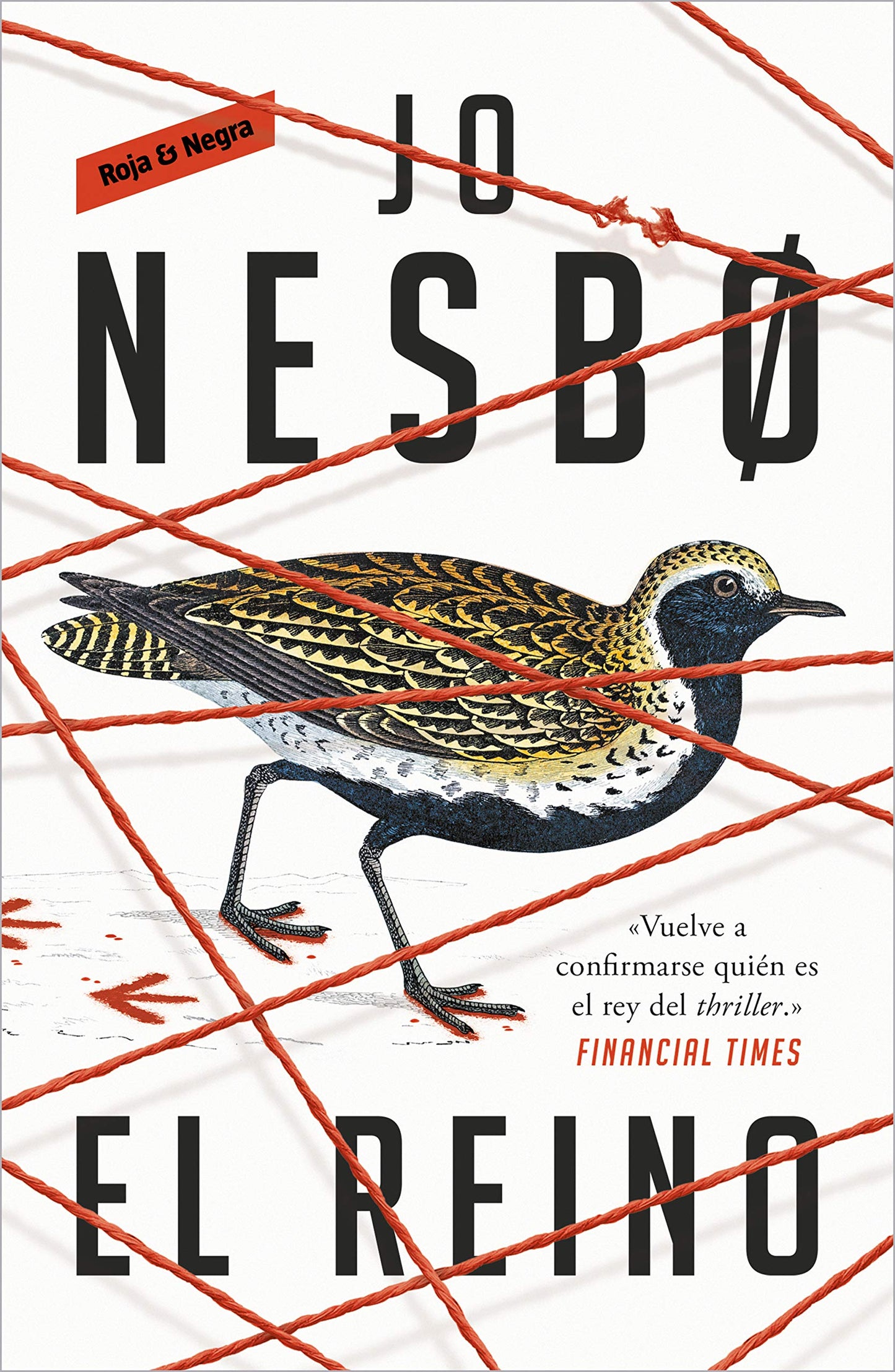 Libro: El reino / The Kingdom (Spanish Edition)