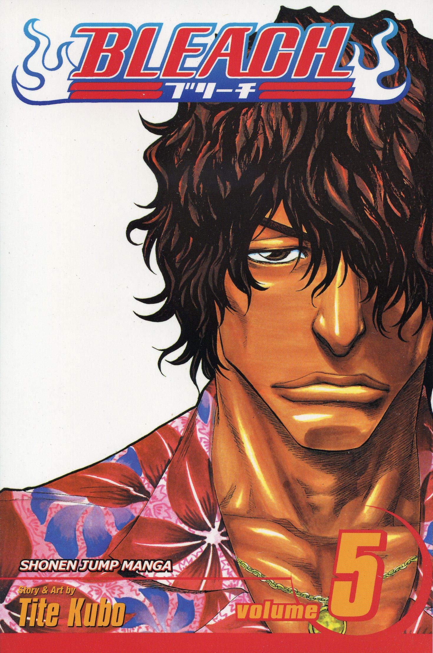Libro: Bleach, Vol. 5