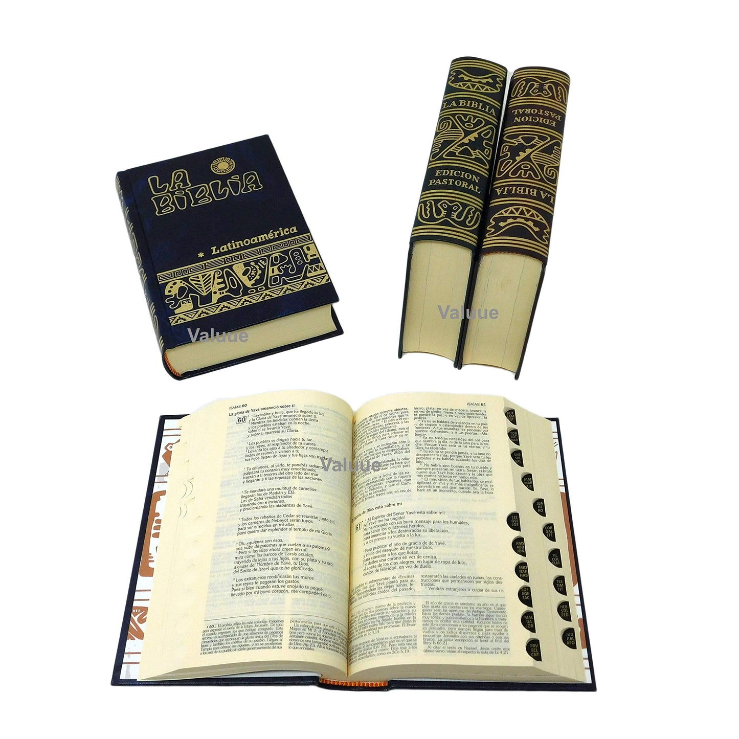Libro: La Biblia Latinoamérica [bolsillo] cartoné color, con uñeros