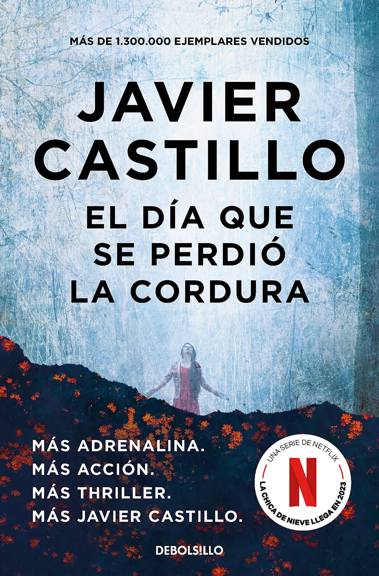 El día que se perdió la cordura (Best Seller)