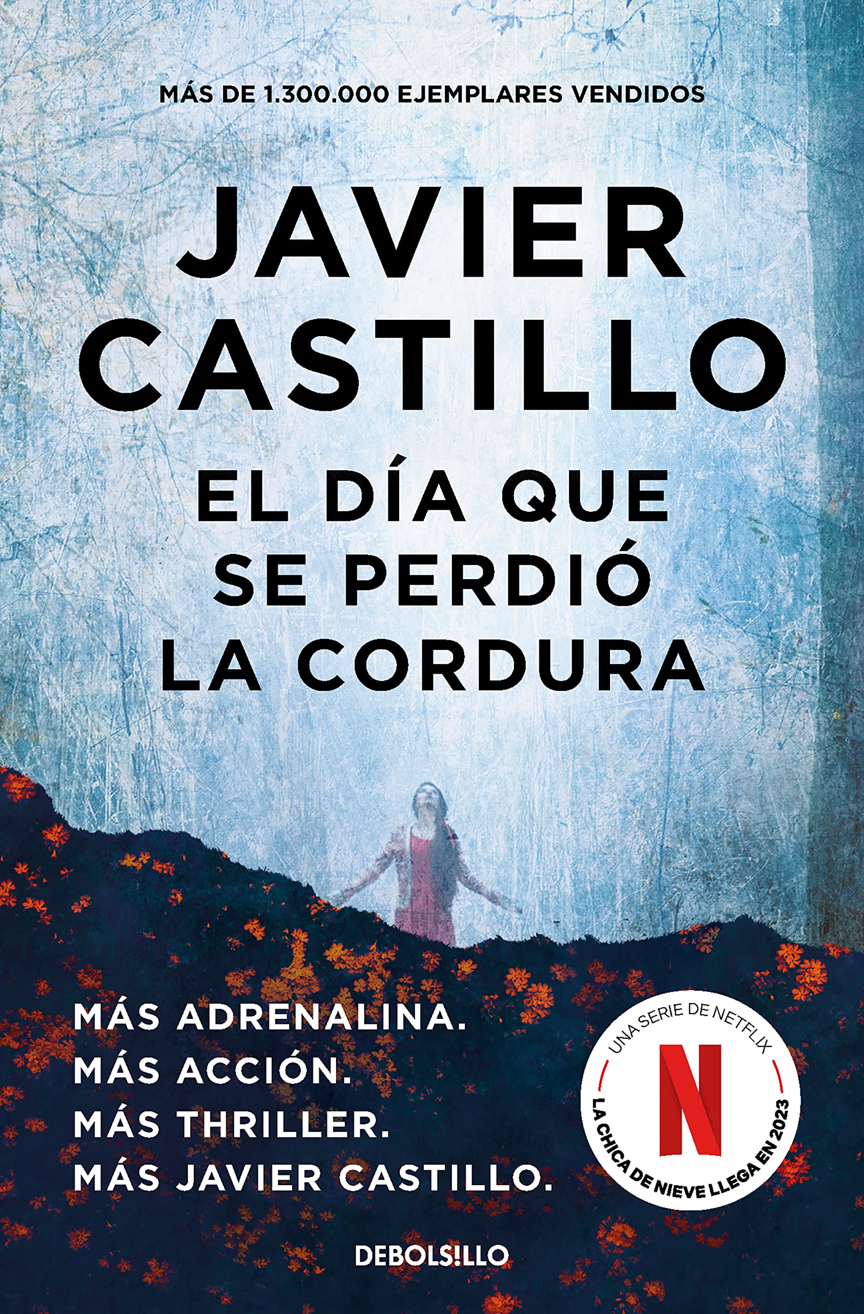 El día que se perdió la cordura (Best Seller)