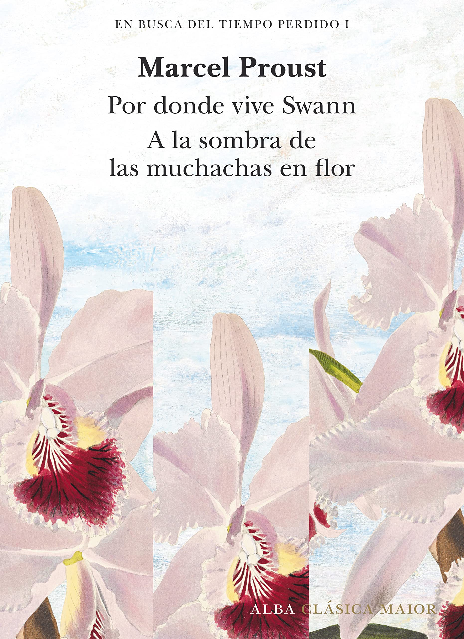 Libro: En busca del tiempo perdido, vol. 1: Por donde vive Swan (Tomo I) y A la sombra de las muchachas en flor (Tomo II)