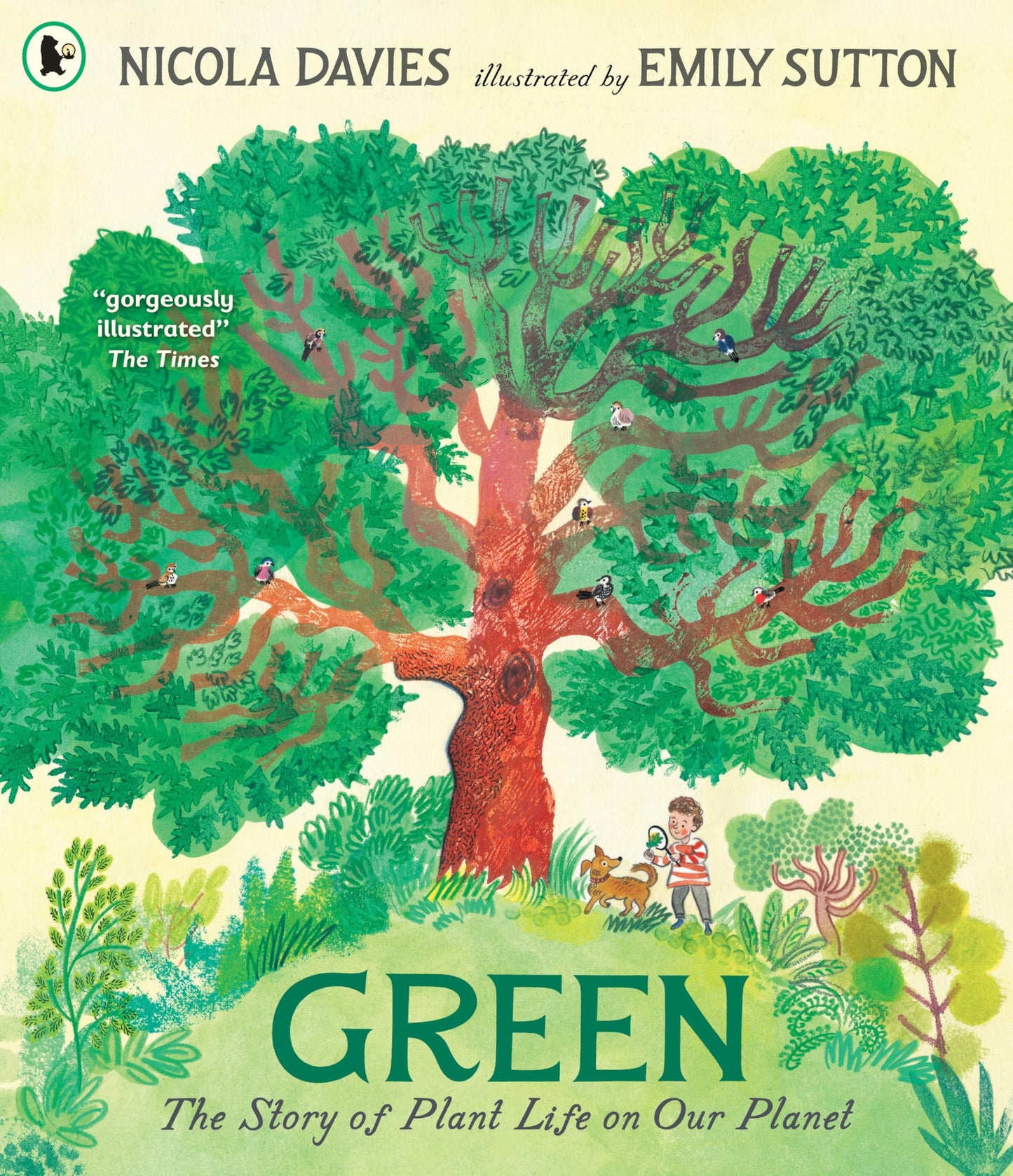 Libro: Walker Books Ltd Green The Story of Plant Life on Our Planet.