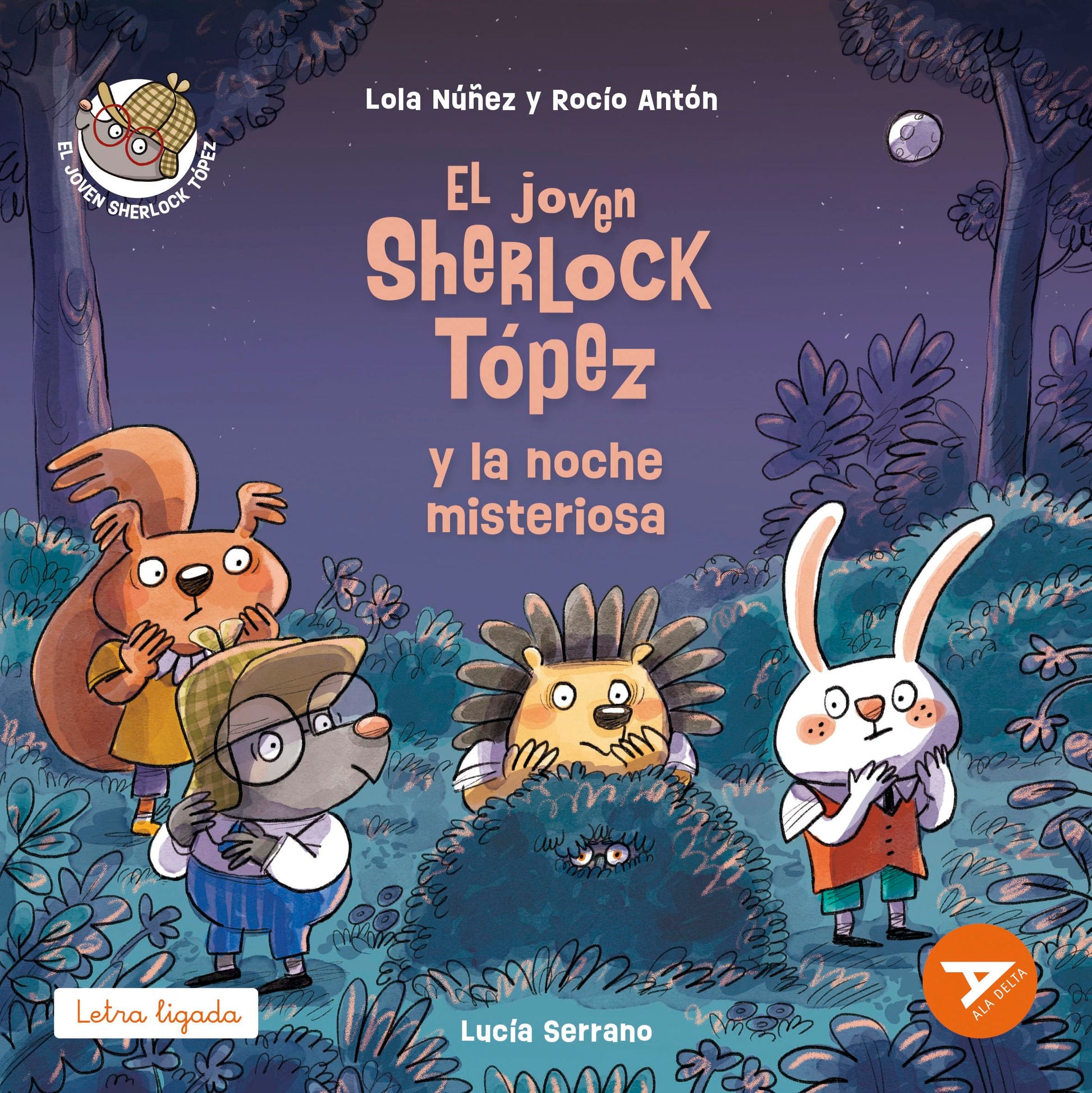 Libro: El joven Sherlock Tópez y la noche misteriosa: 13 (Ala Delta - Serie Naranja)