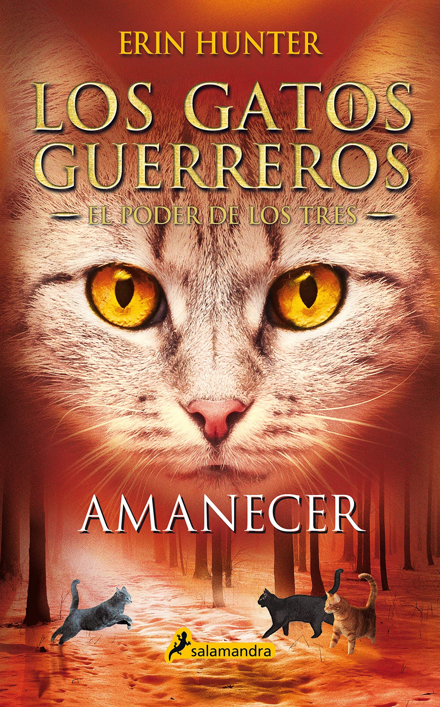 Libro: Los Gatos Guerreros | El Poder de los Tres 6 - Amanecer (Colección Salamandra Juvenil)