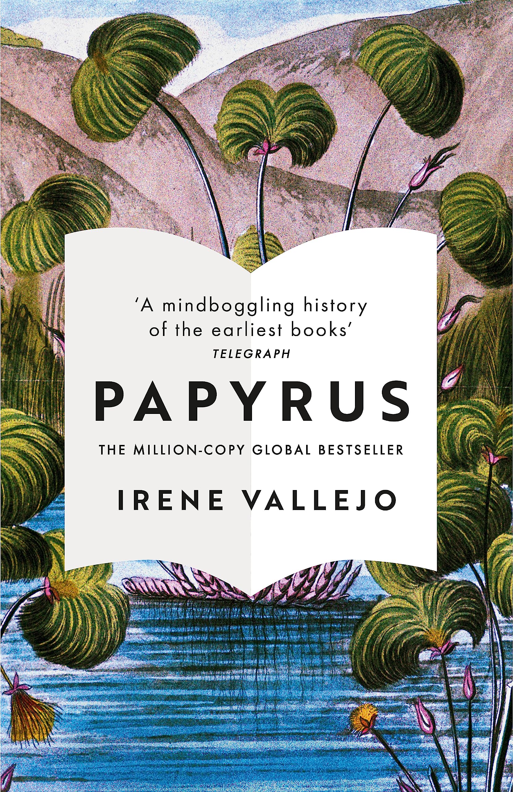 Libro: Hodder Paperbacks Papyrus.