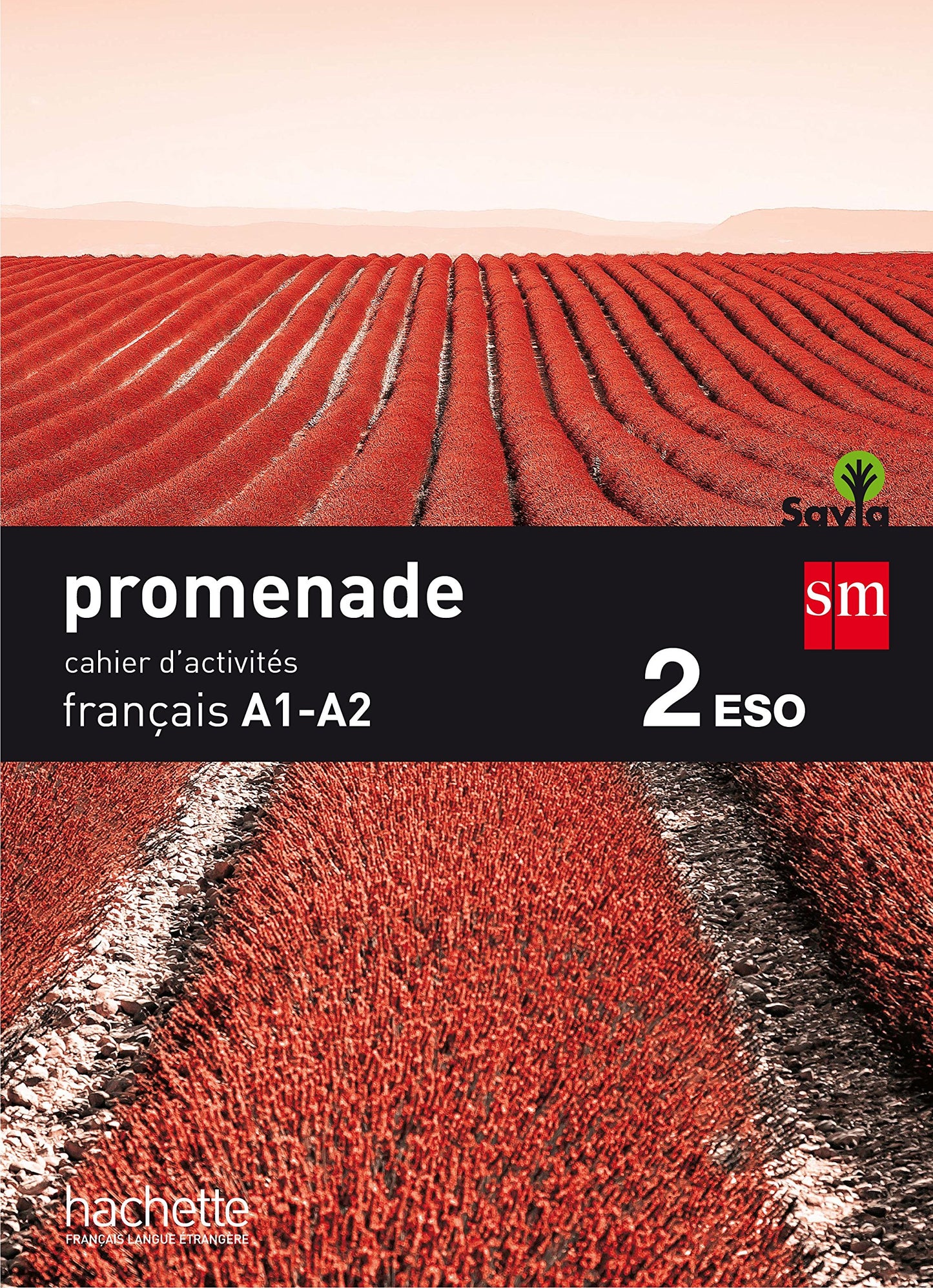 Libro: Cahier de français. 2 ESO. Promenade