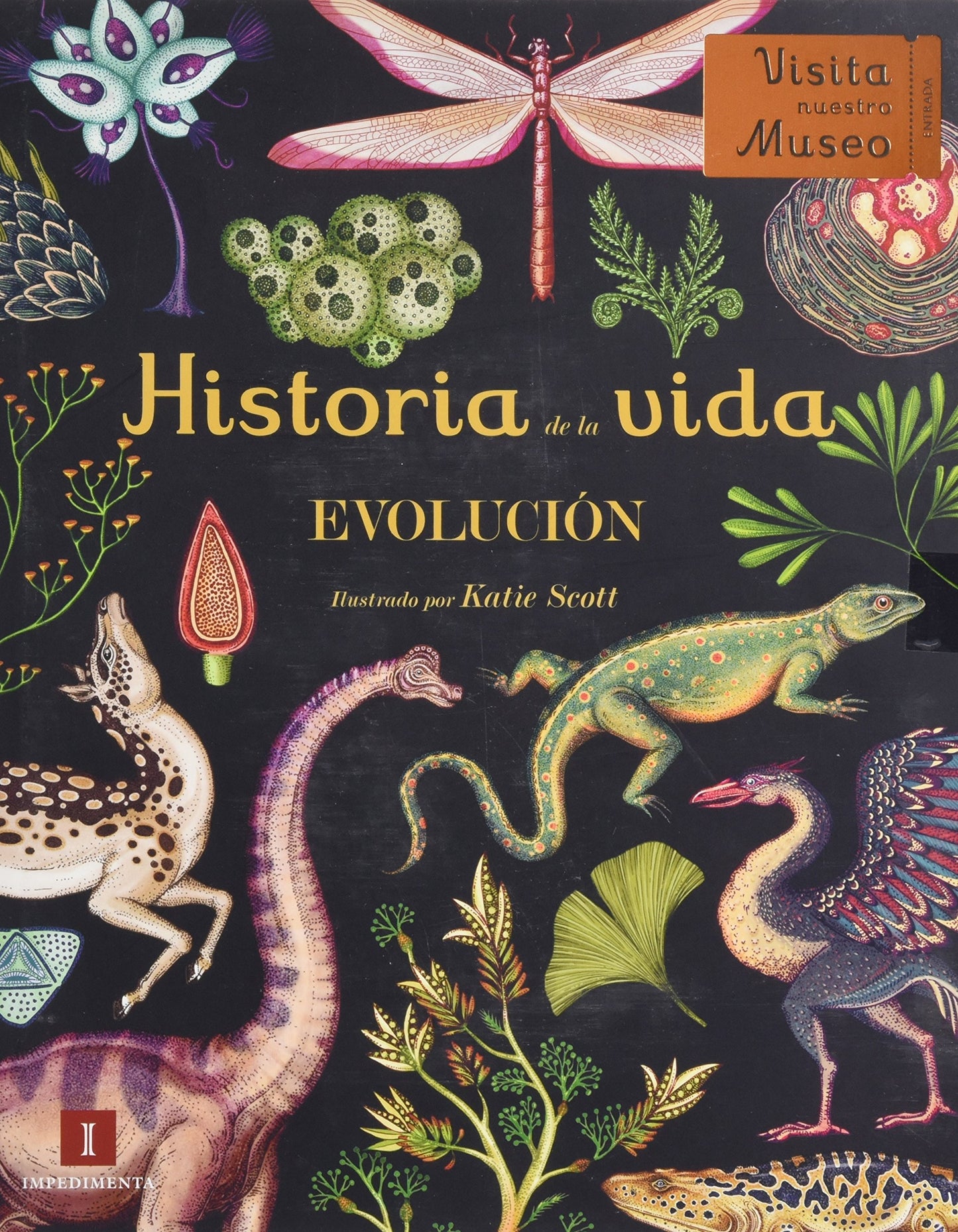 Libro: Historia De La Vida: Evolución: 12 (El chico amarillo)