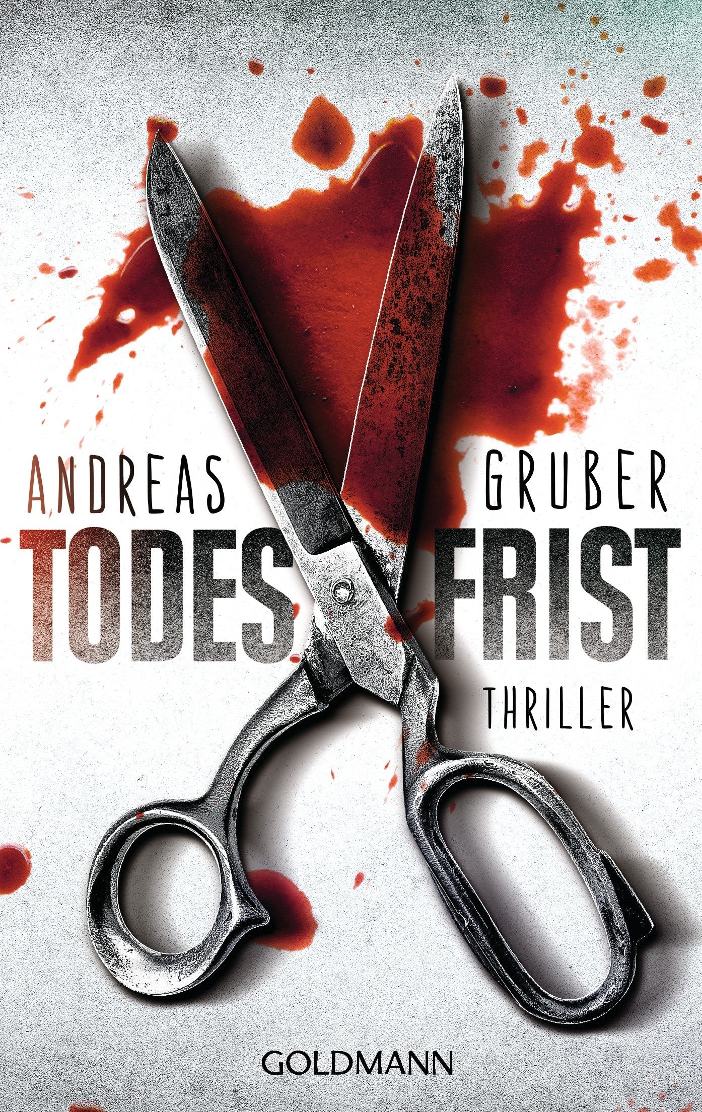 Libro: Todesfrist: Maarten S. Sneijder und Sabine Nemez 1 - Thriller