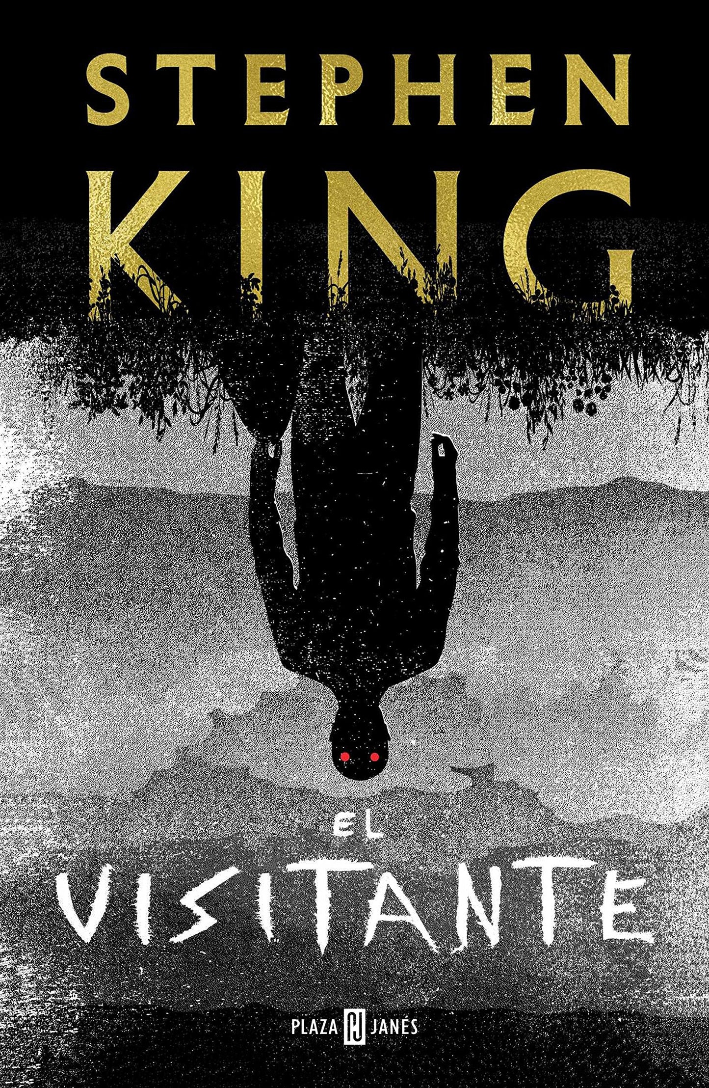 Libro: El visitante (Éxitos)