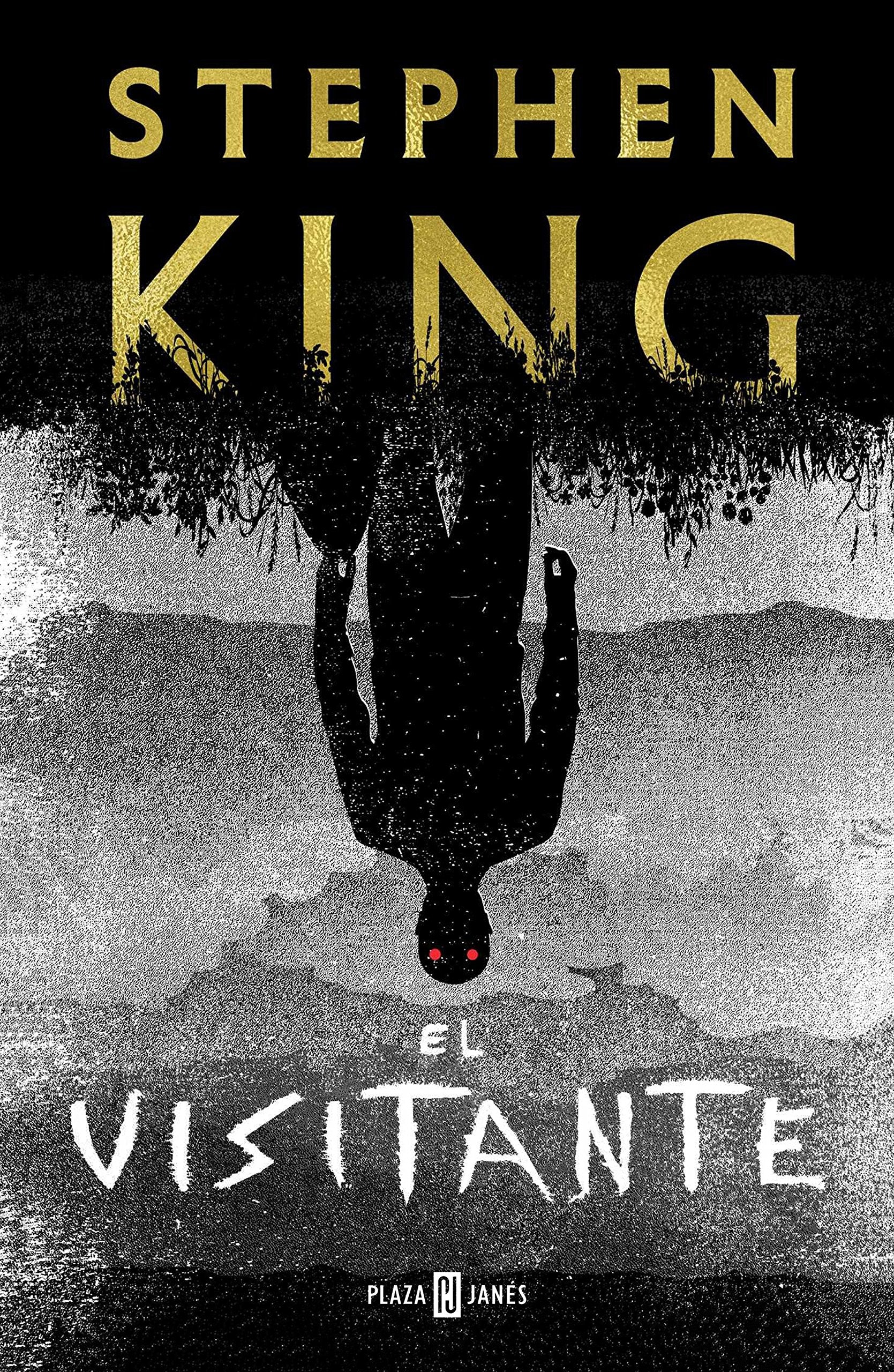Libro: El visitante (Éxitos)