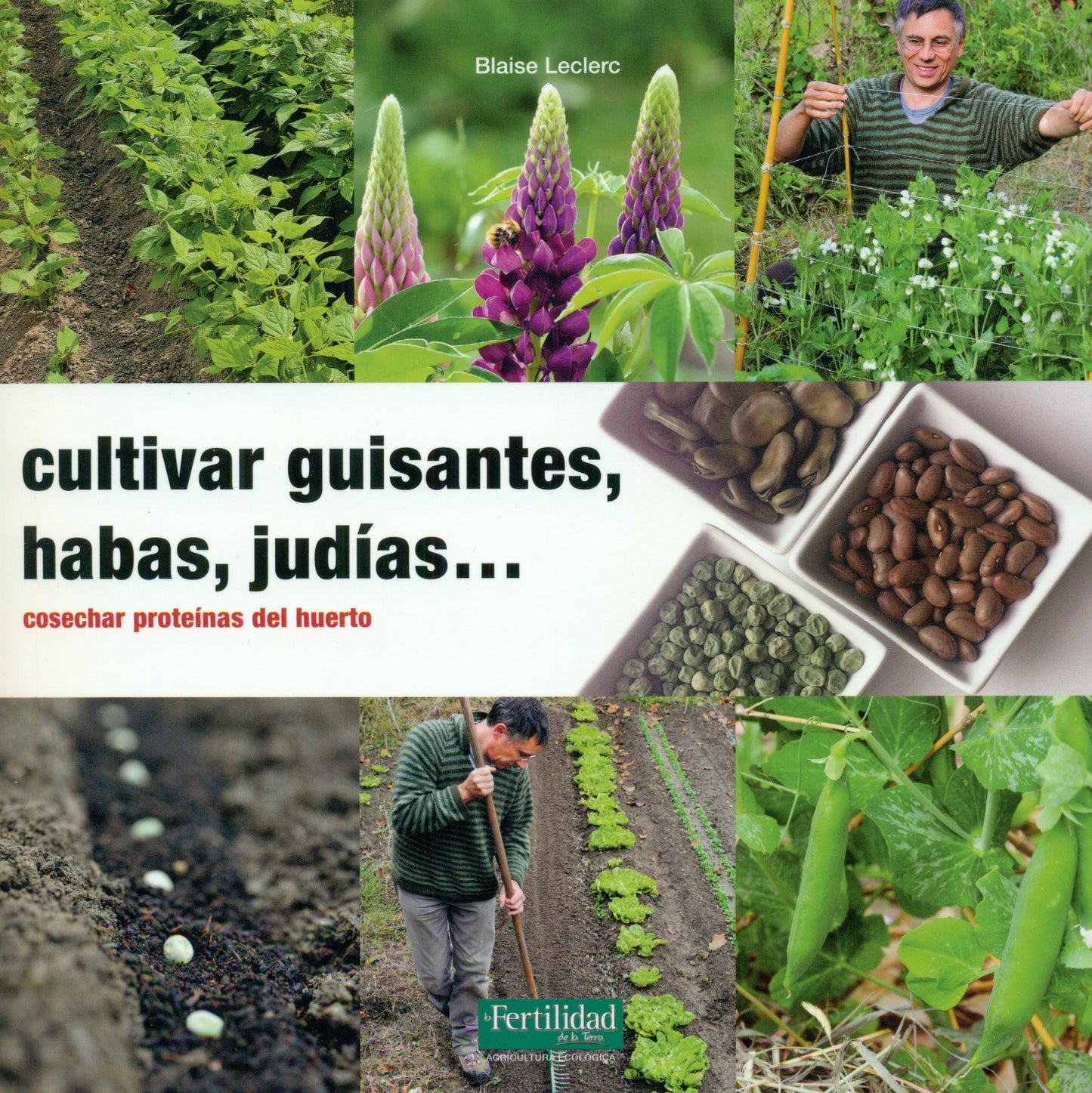 Libro: Cultivar guisantes, habas, judías...: Cosechar proteínas del huerto