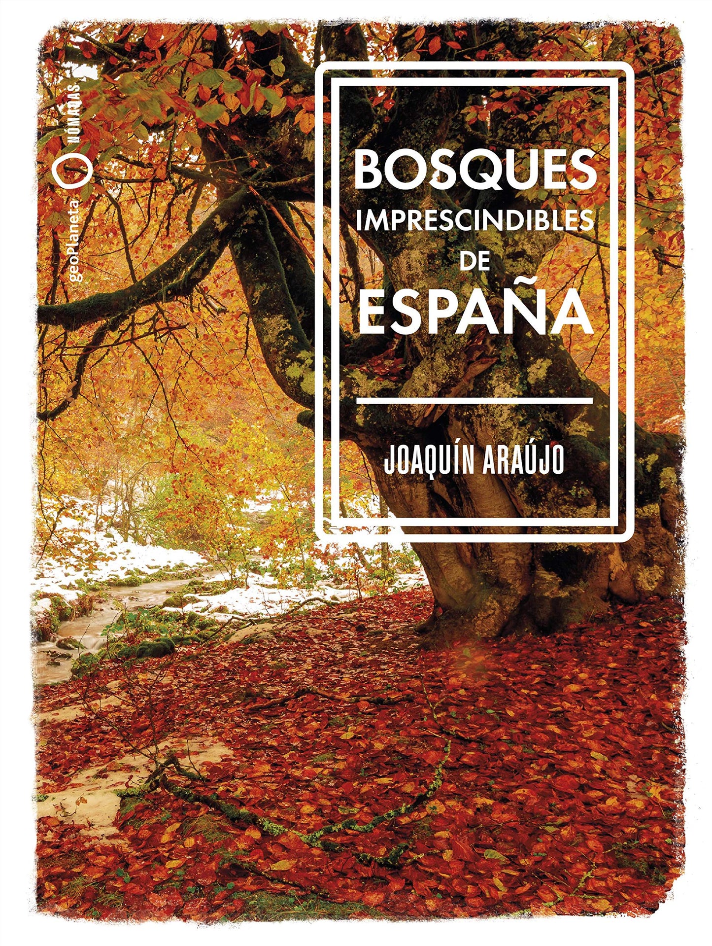 Libro: Bosques imprescindibles de España (Nómadas)