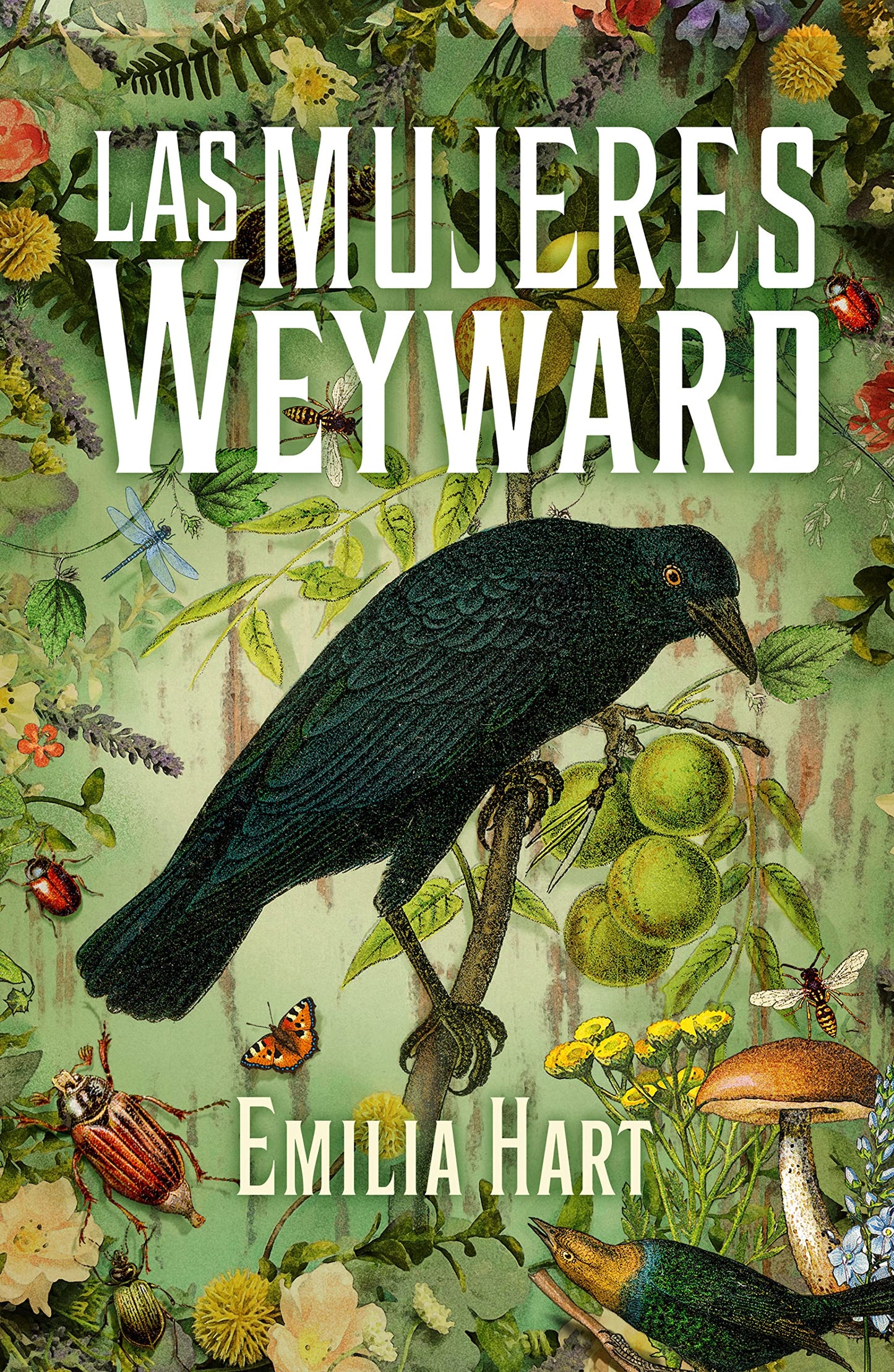 Libro: Las mujeres Weyward (Spanish Edition) (International Edition)